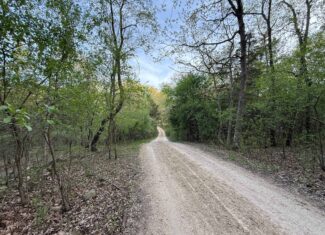 Secluded 66-Acre Hunting Paradise Portage, WI