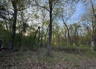 Secluded 66-Acre Hunting Paradise Portage, WI
