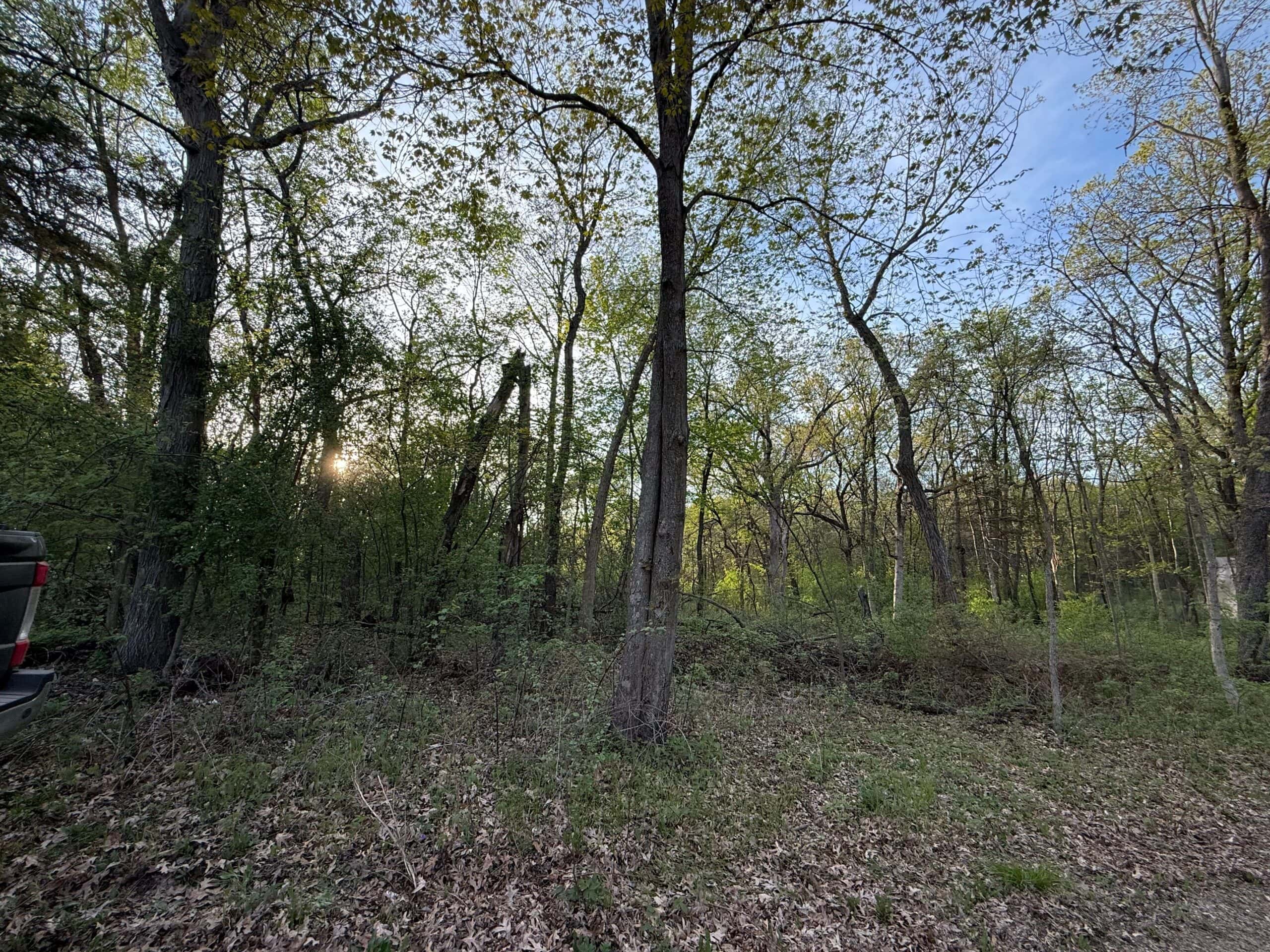 Secluded 66-Acre Hunting Paradise Portage, WI