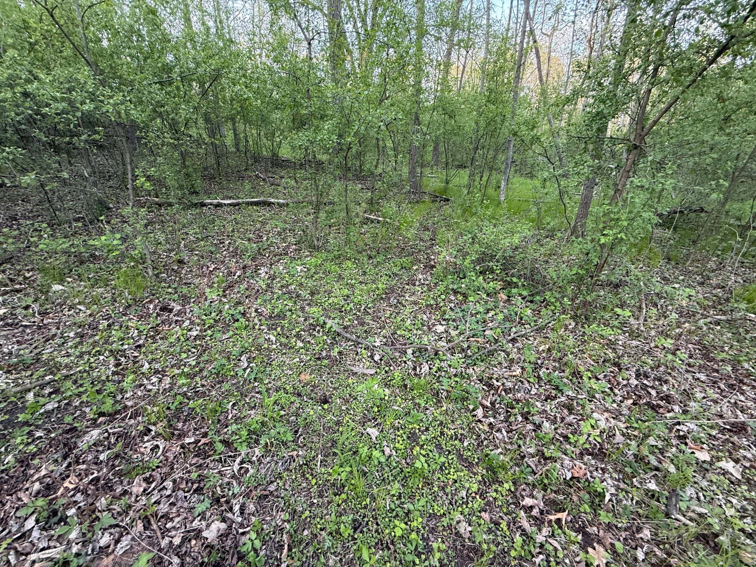 Secluded 66-Acre Hunting Paradise Portage, WI