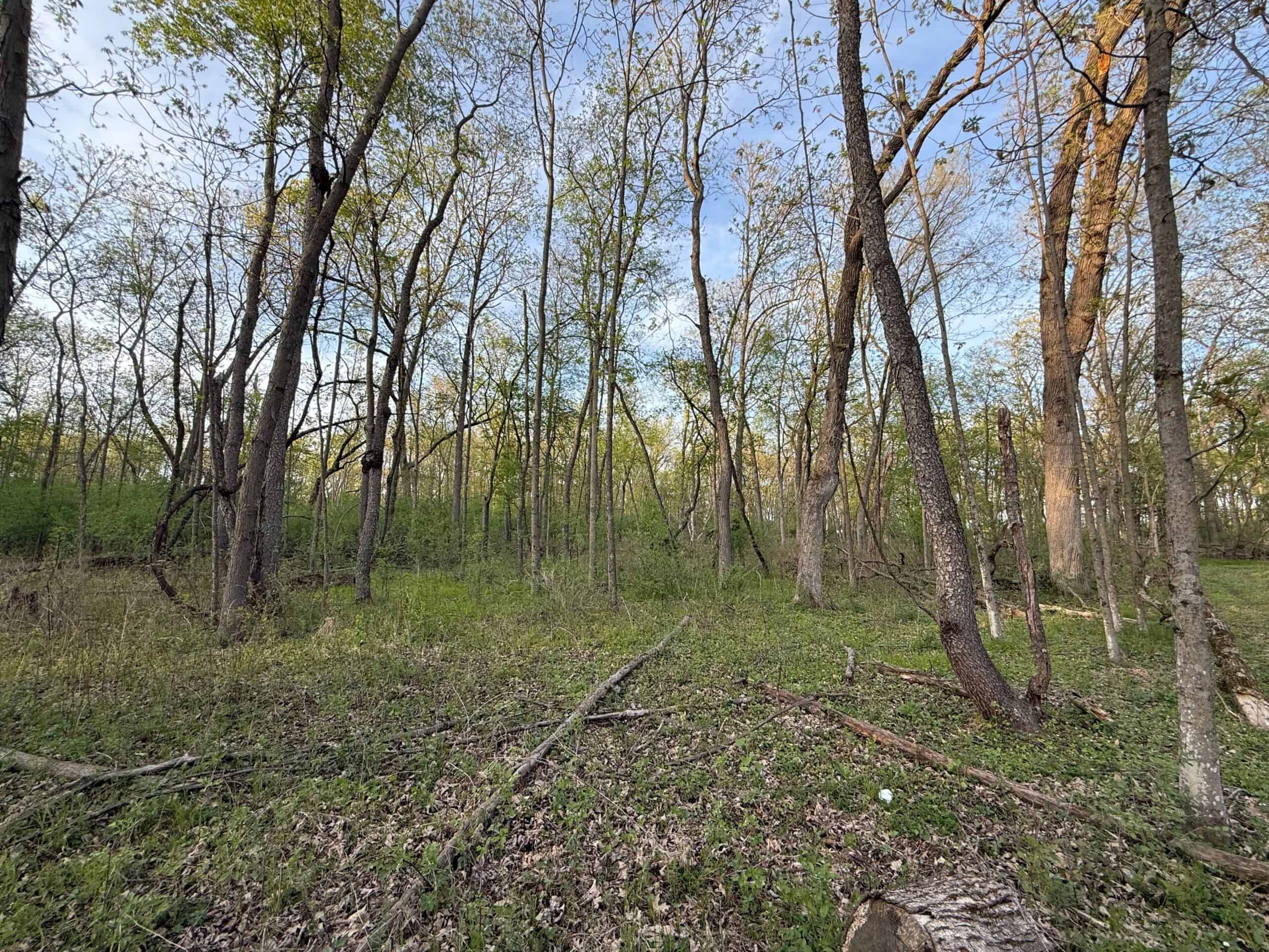 Secluded 66-Acre Hunting Paradise Portage, WI