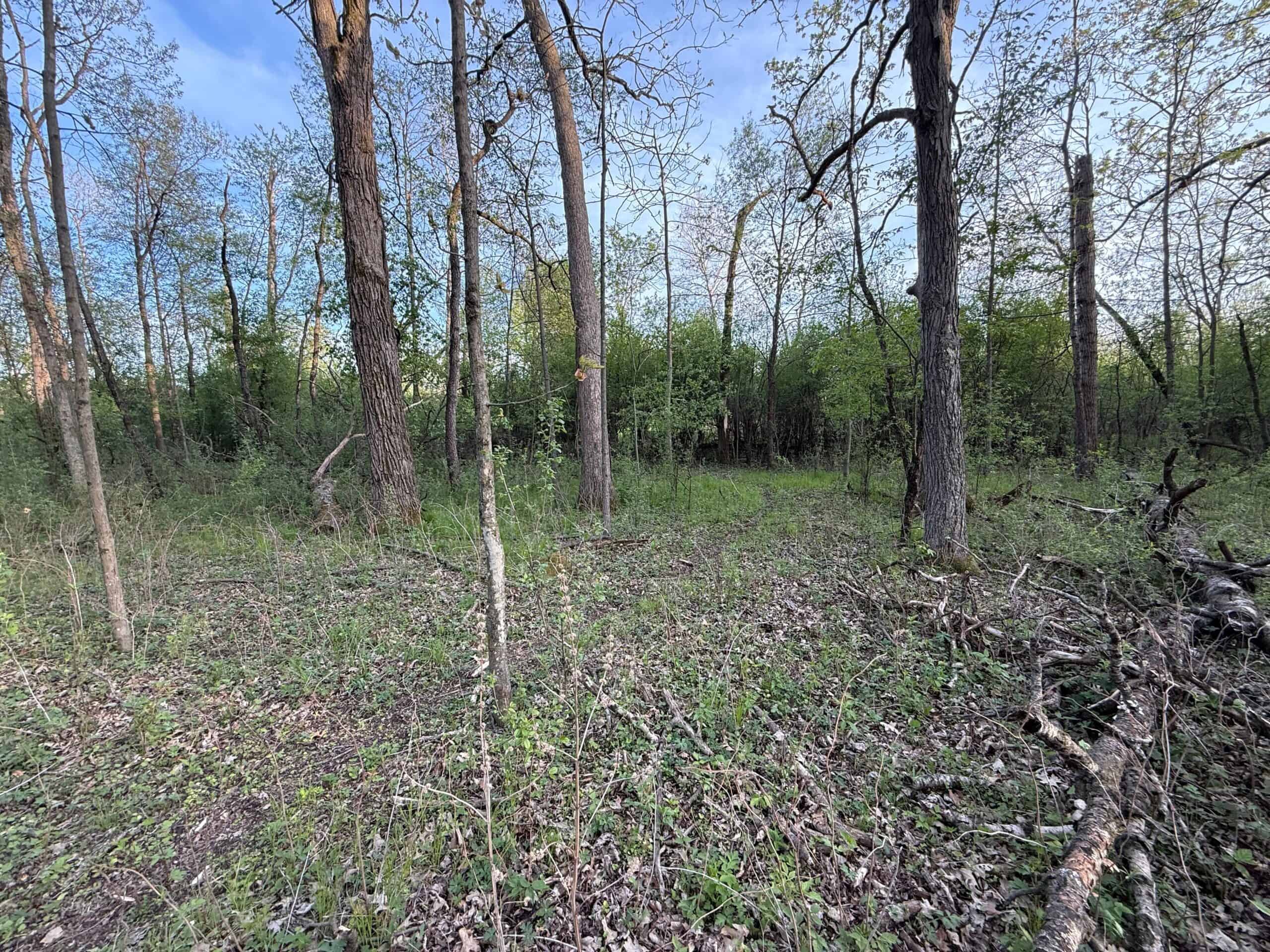 Secluded 66-Acre Hunting Paradise Portage, WI