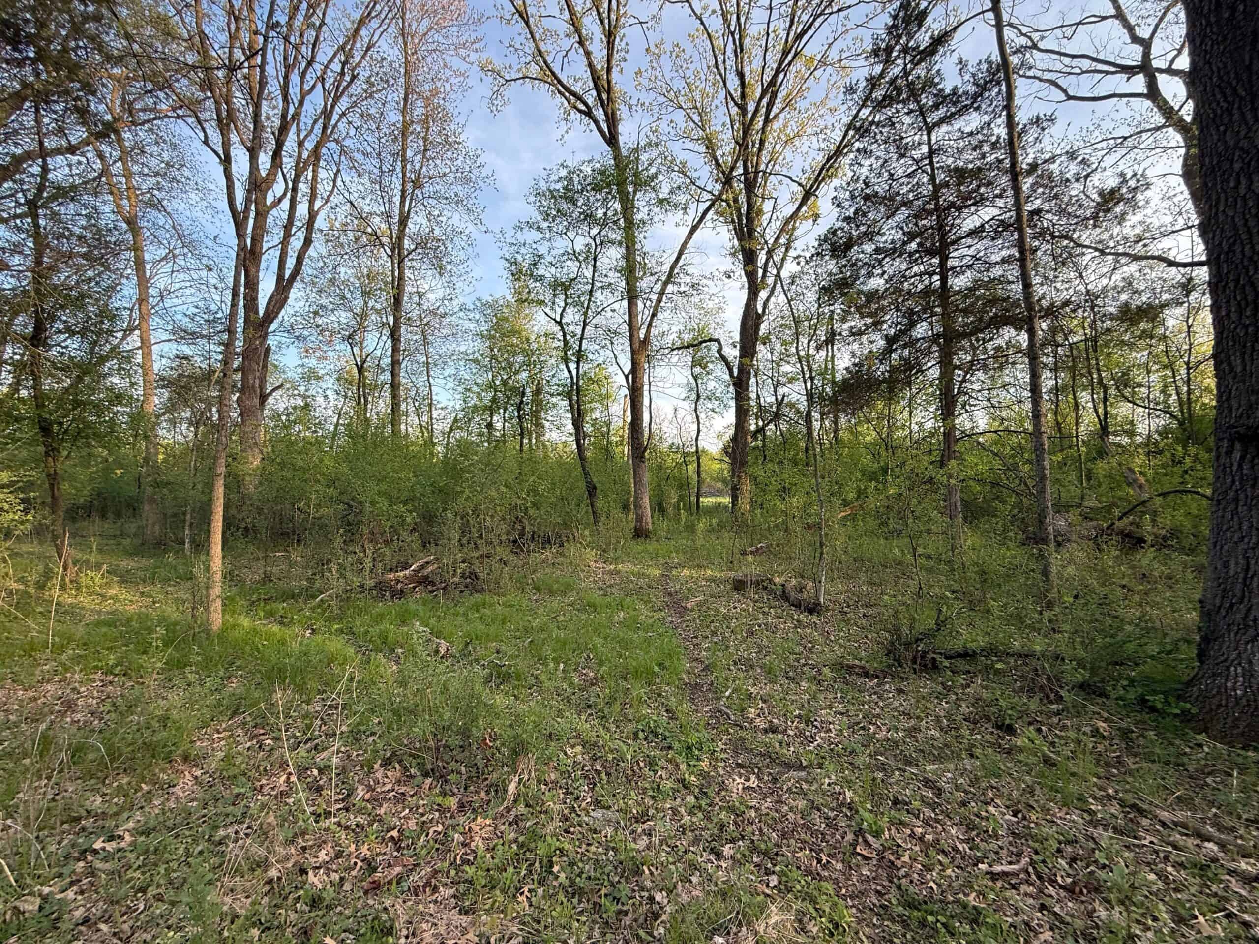 Secluded 66-Acre Hunting Paradise Portage, WI