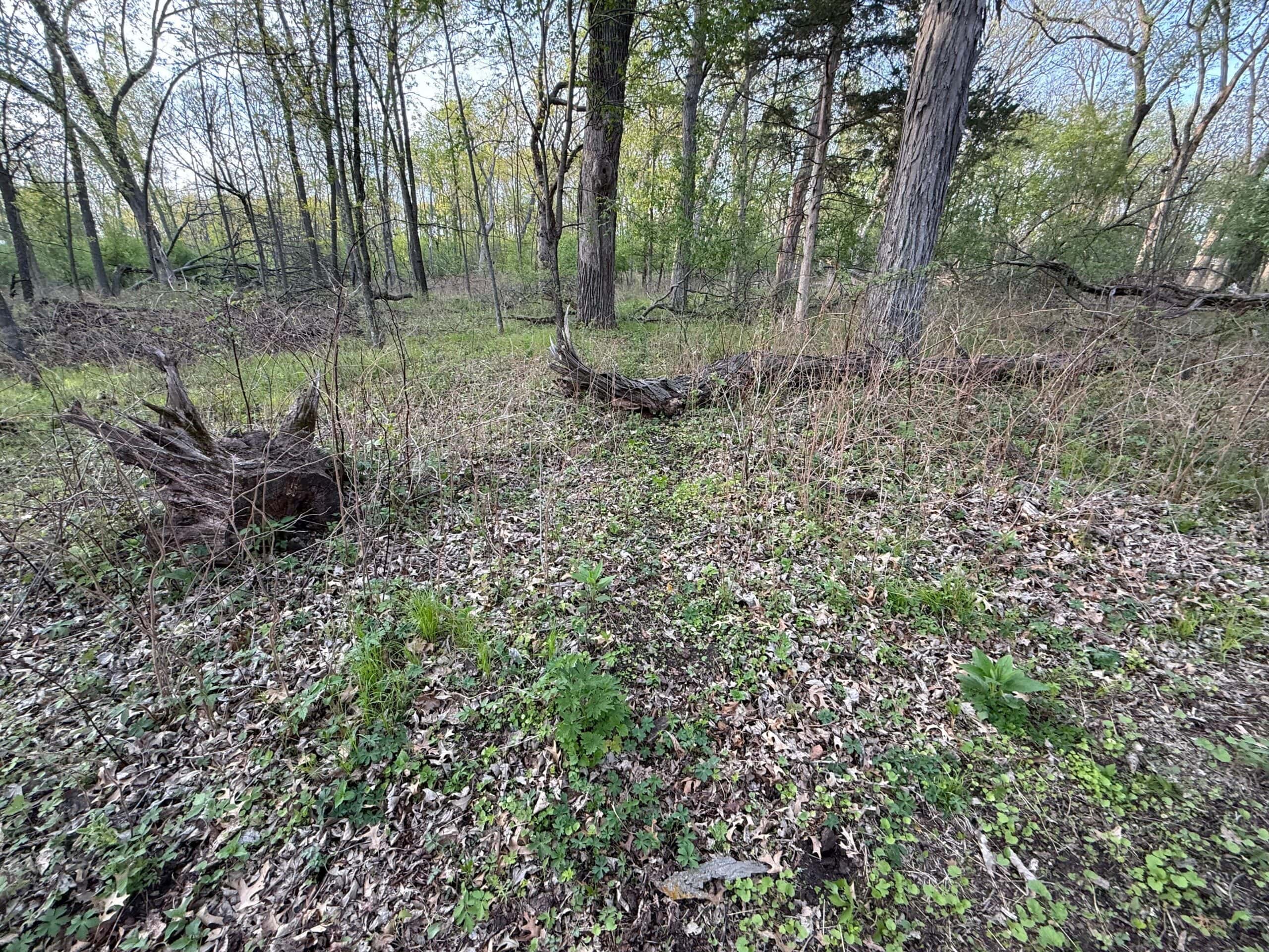 Secluded 66-Acre Hunting Paradise Portage, WI