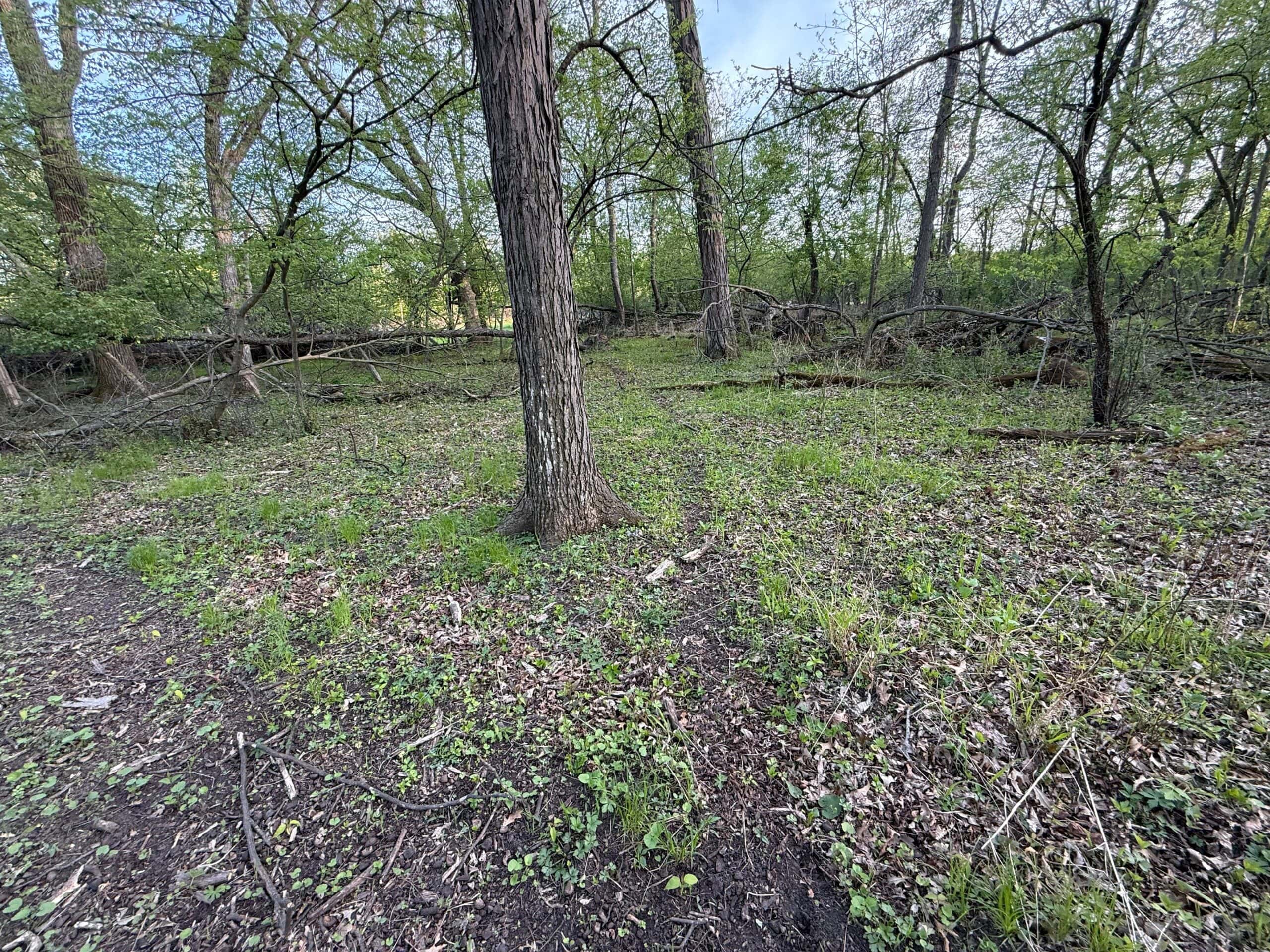 Secluded 66-Acre Hunting Paradise Portage, WI