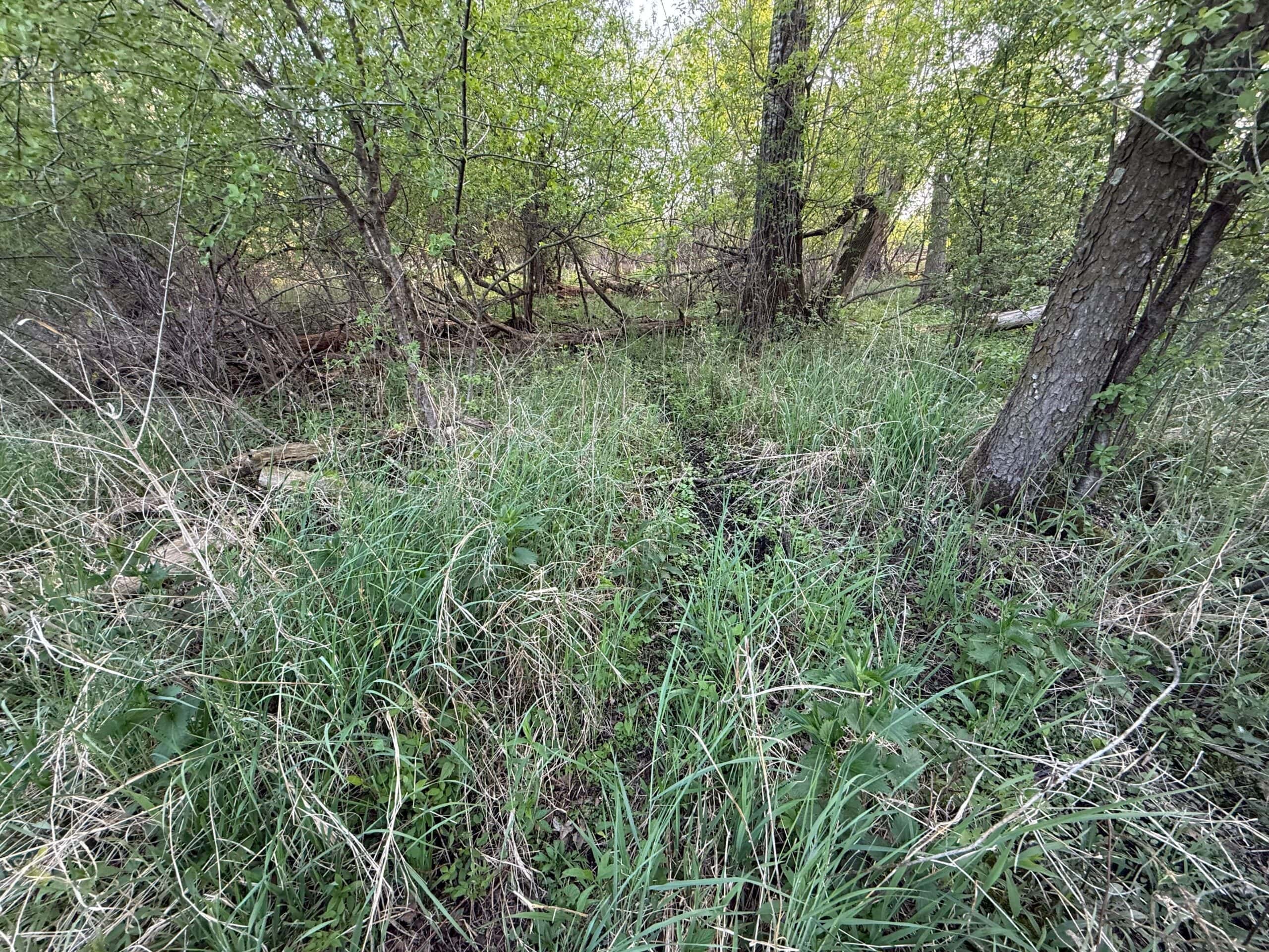 Secluded 66-Acre Hunting Paradise Portage, WI
