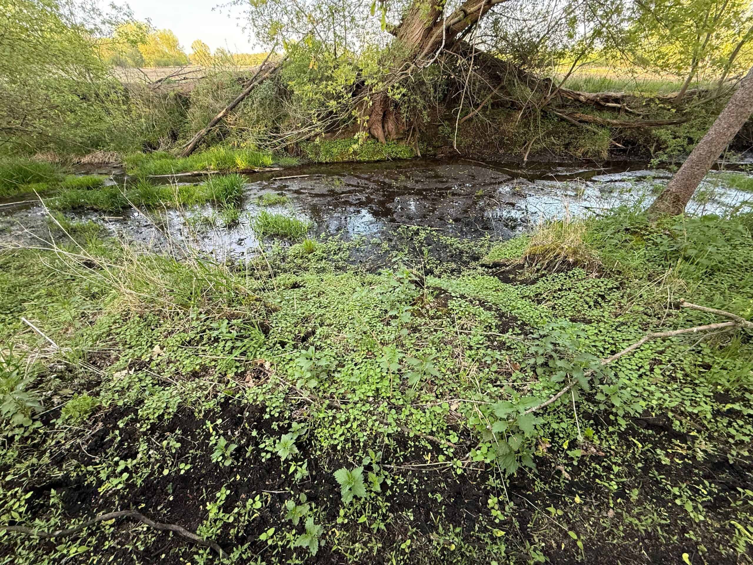 Secluded 66-Acre Hunting Paradise Portage, WI