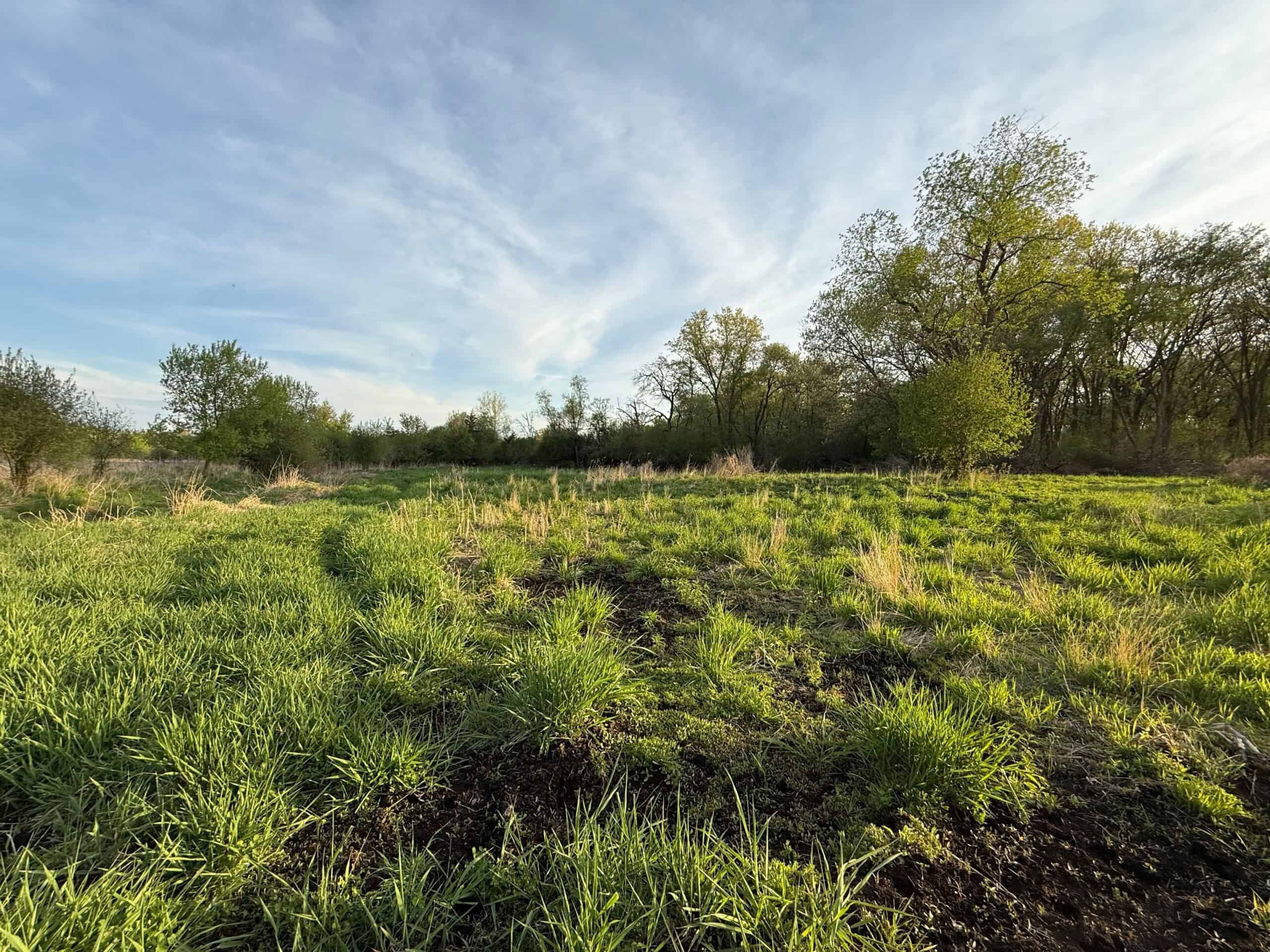 Secluded 66-Acre Hunting Paradise Portage, WI