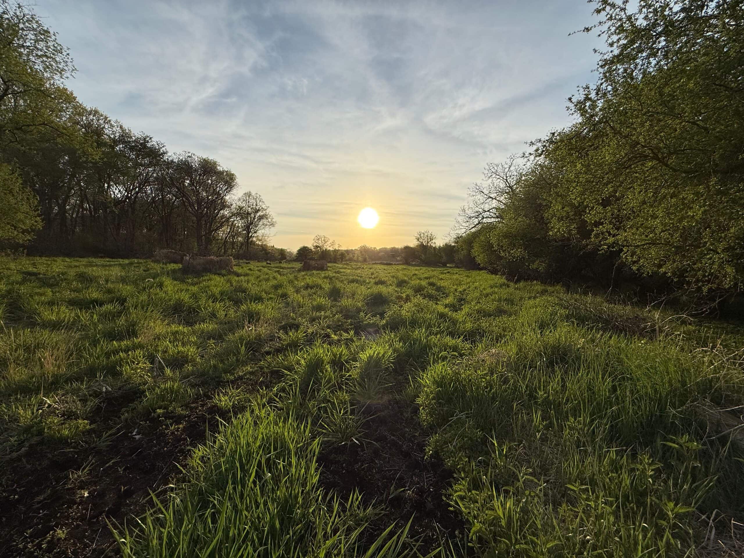 Secluded 66-Acre Hunting Paradise Portage, WI
