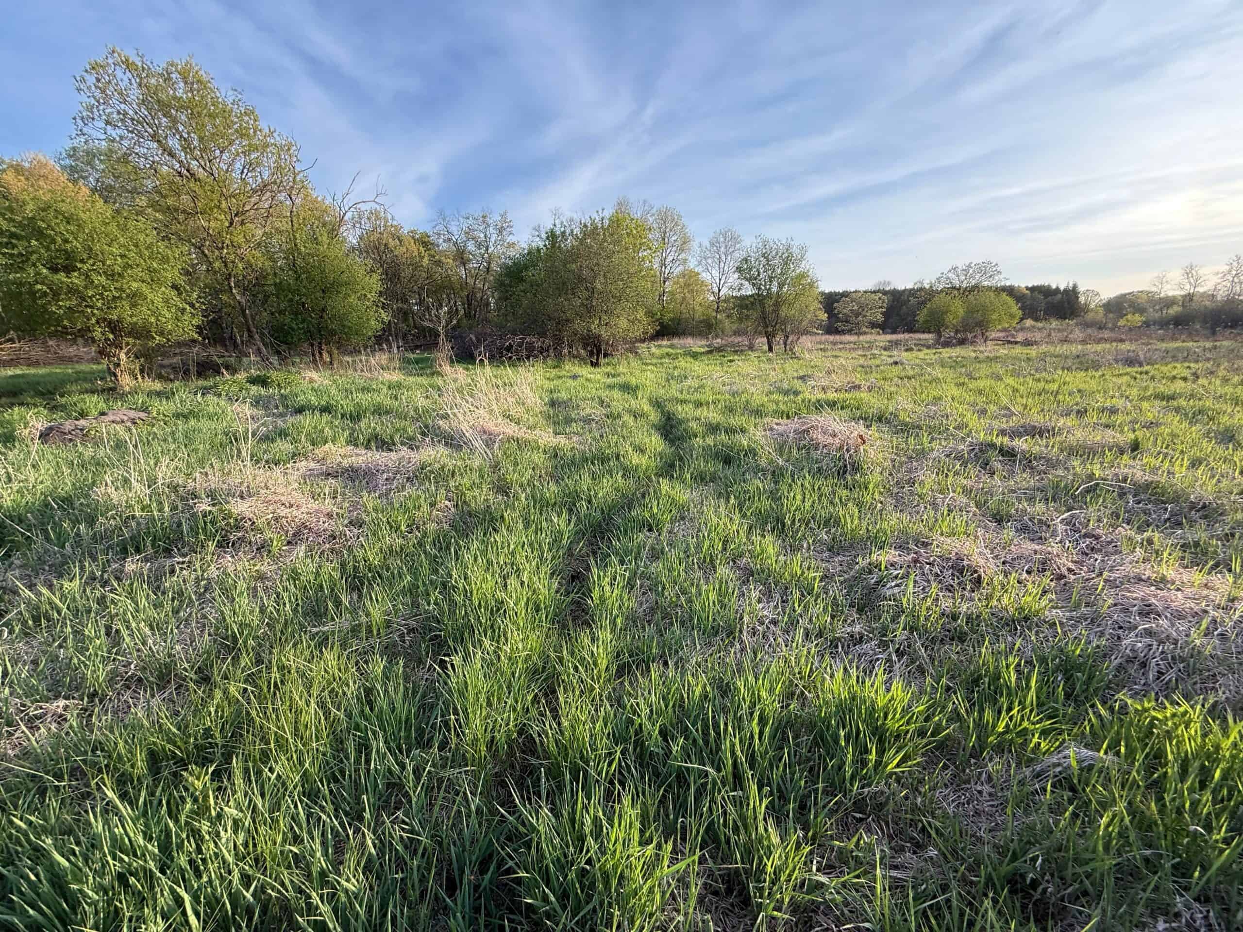 Secluded 66-Acre Hunting Paradise Portage, WI