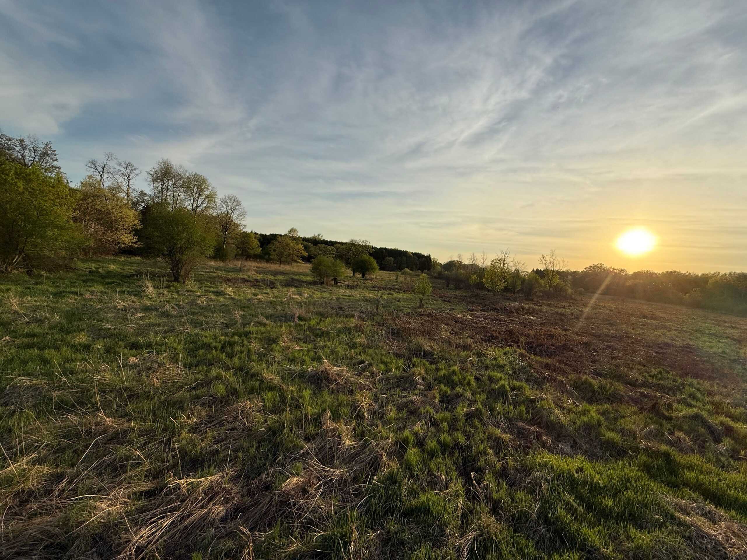 Secluded 66-Acre Hunting Paradise Portage, WI
