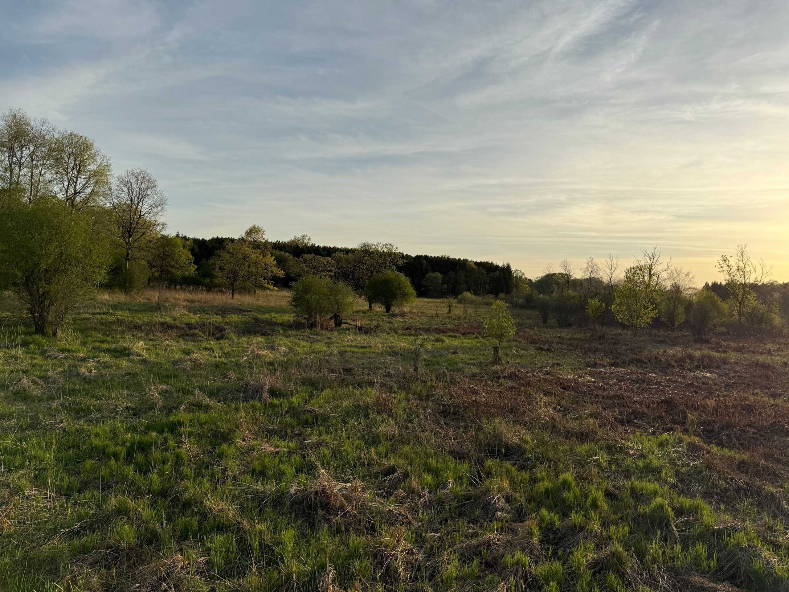 Secluded 66-Acre Hunting Paradise Portage, WI