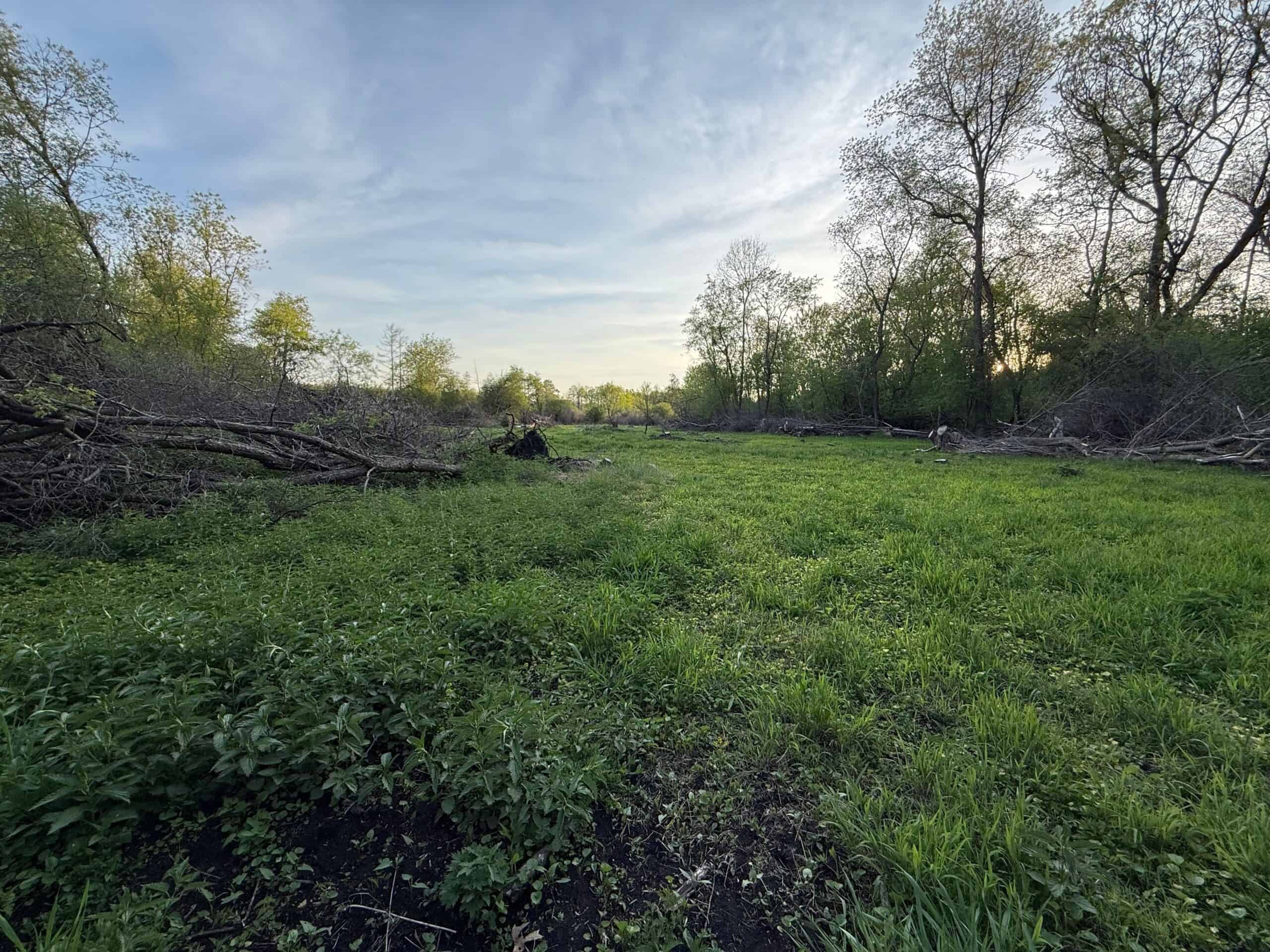 Secluded 66-Acre Hunting Paradise Portage, WI