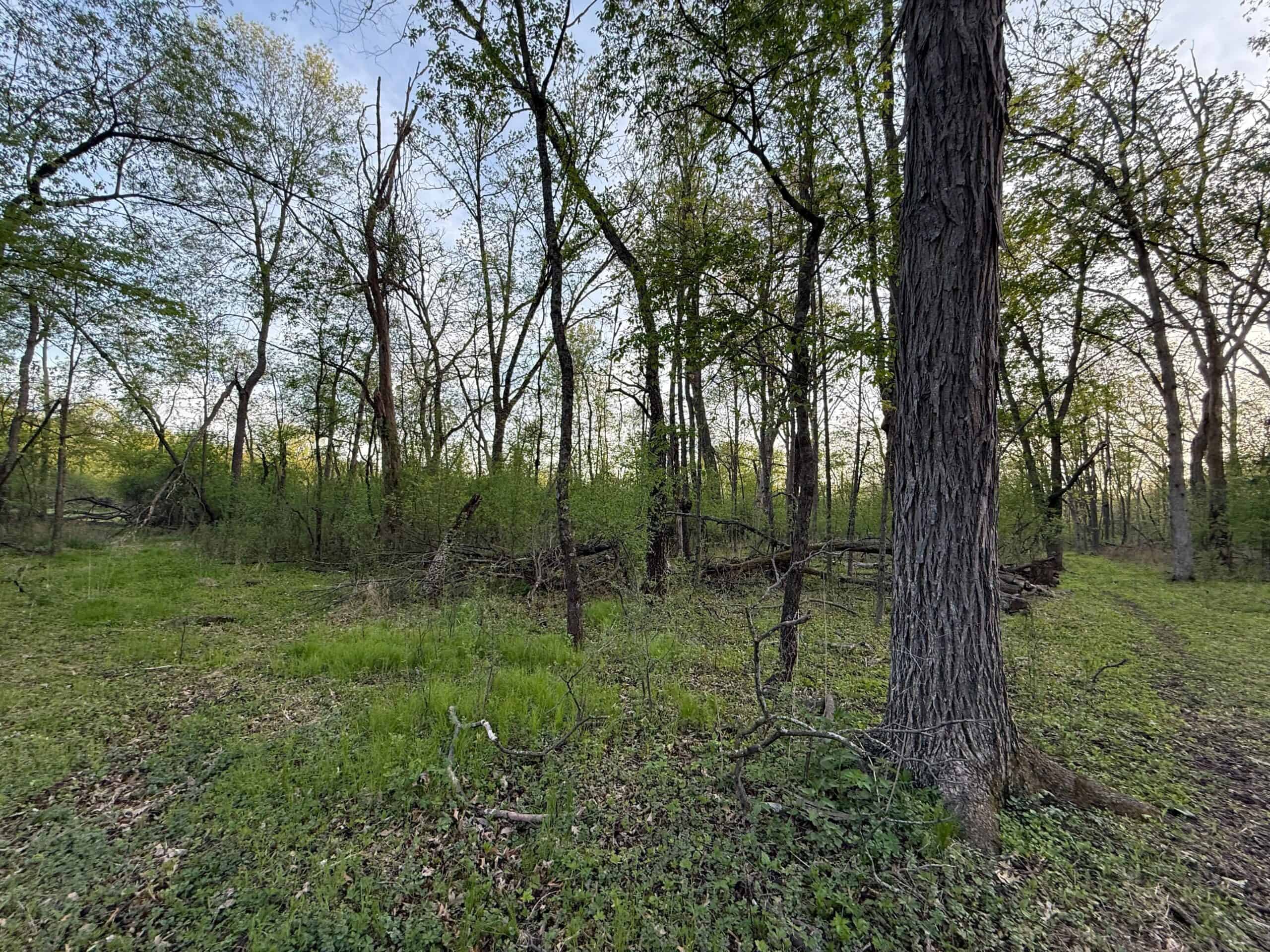 Secluded 66-Acre Hunting Paradise Portage, WI