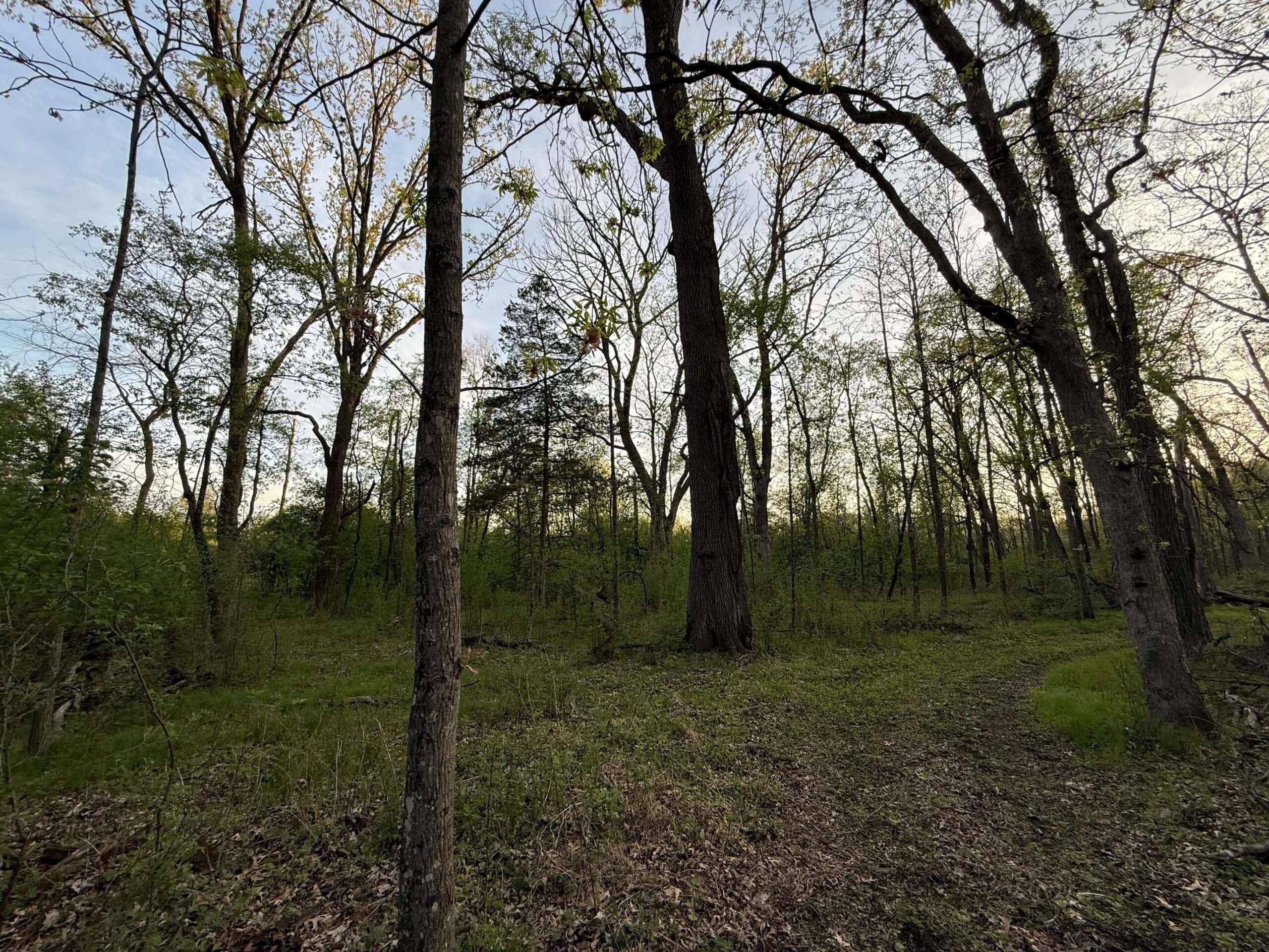 Secluded 66-Acre Hunting Paradise Portage, WI