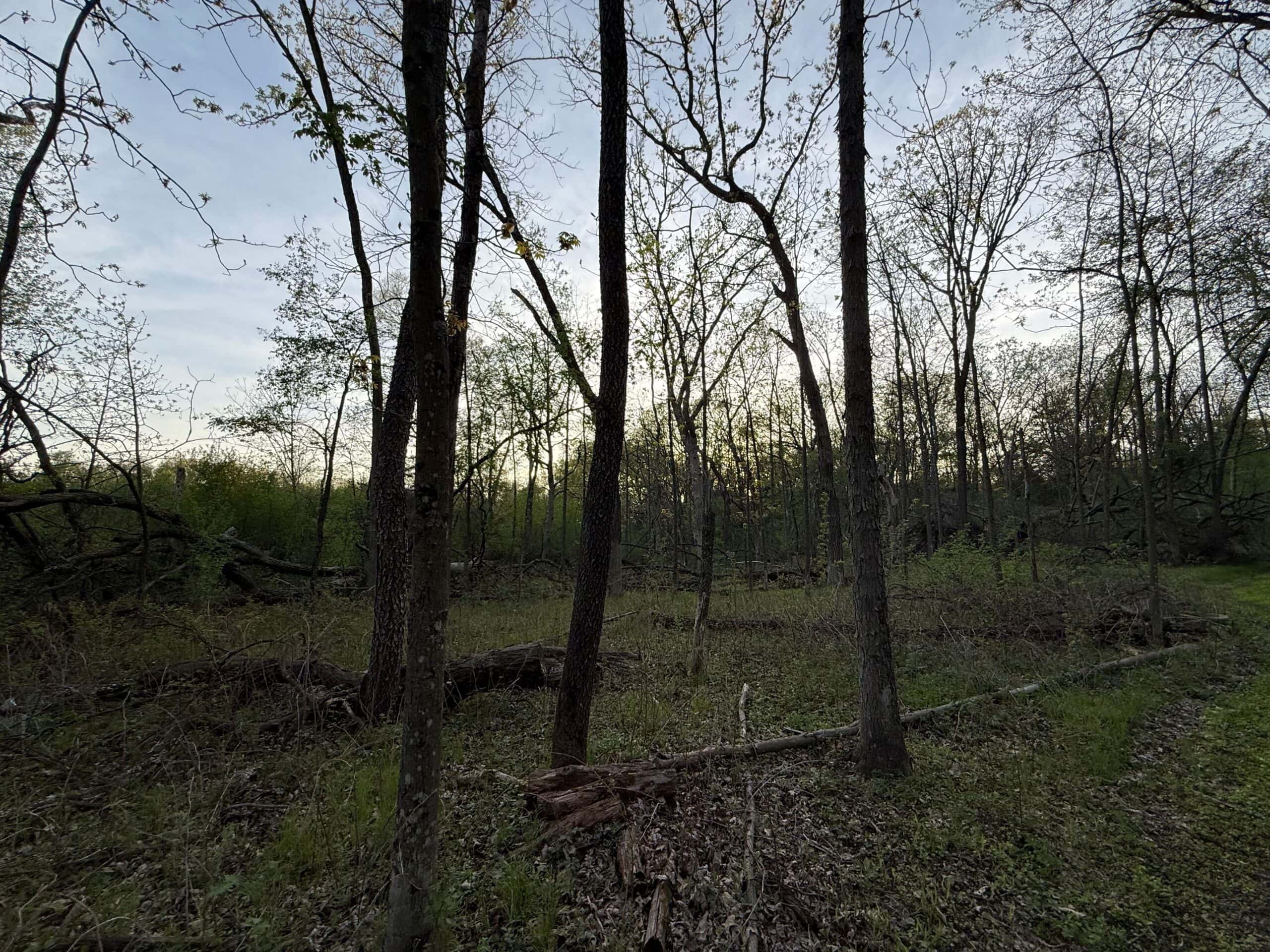 Secluded 66-Acre Hunting Paradise Portage, WI