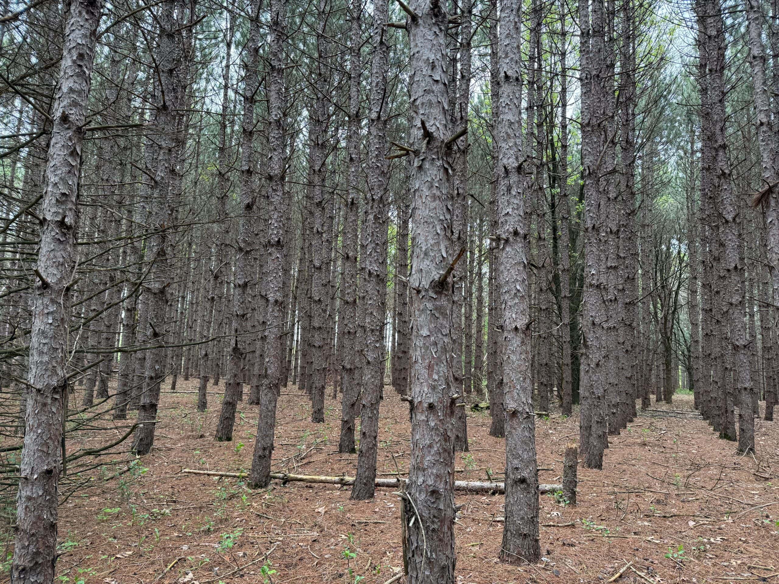 Secluded 66-Acre Hunting Paradise Portage, WI