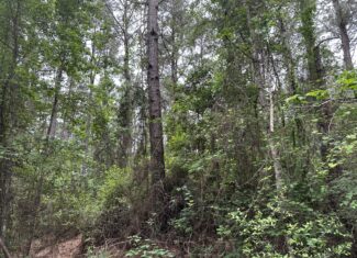 East Texas Recreational/Hunting/Timber Land For Sale