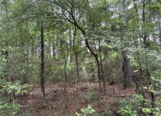 East Texas Recreational/Hunting/Timber Land For Sale
