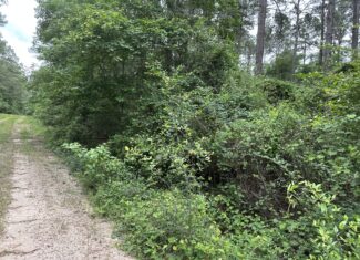 East Texas Recreational/Hunting/Timber Land For Sale