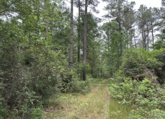 East Texas Recreational/Hunting/Timber Land For Sale