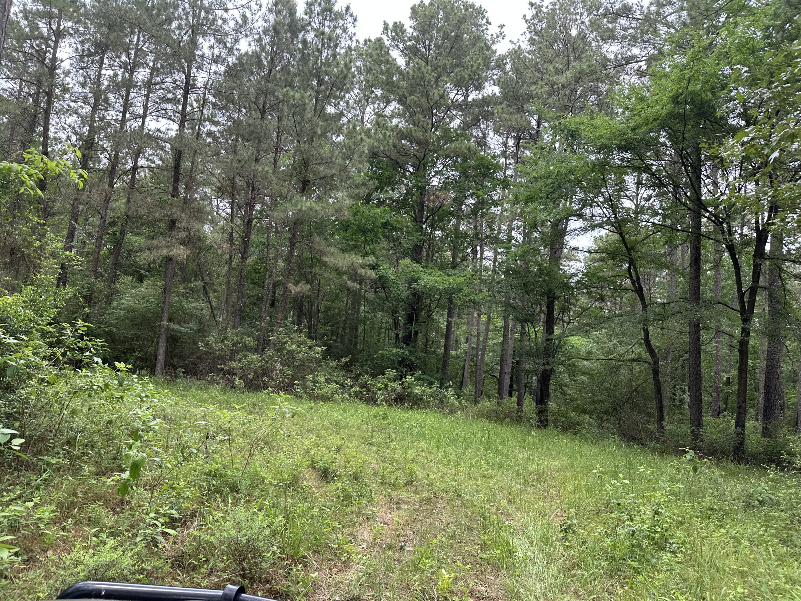 East Texas Recreational/Hunting/Timber Land For Sale