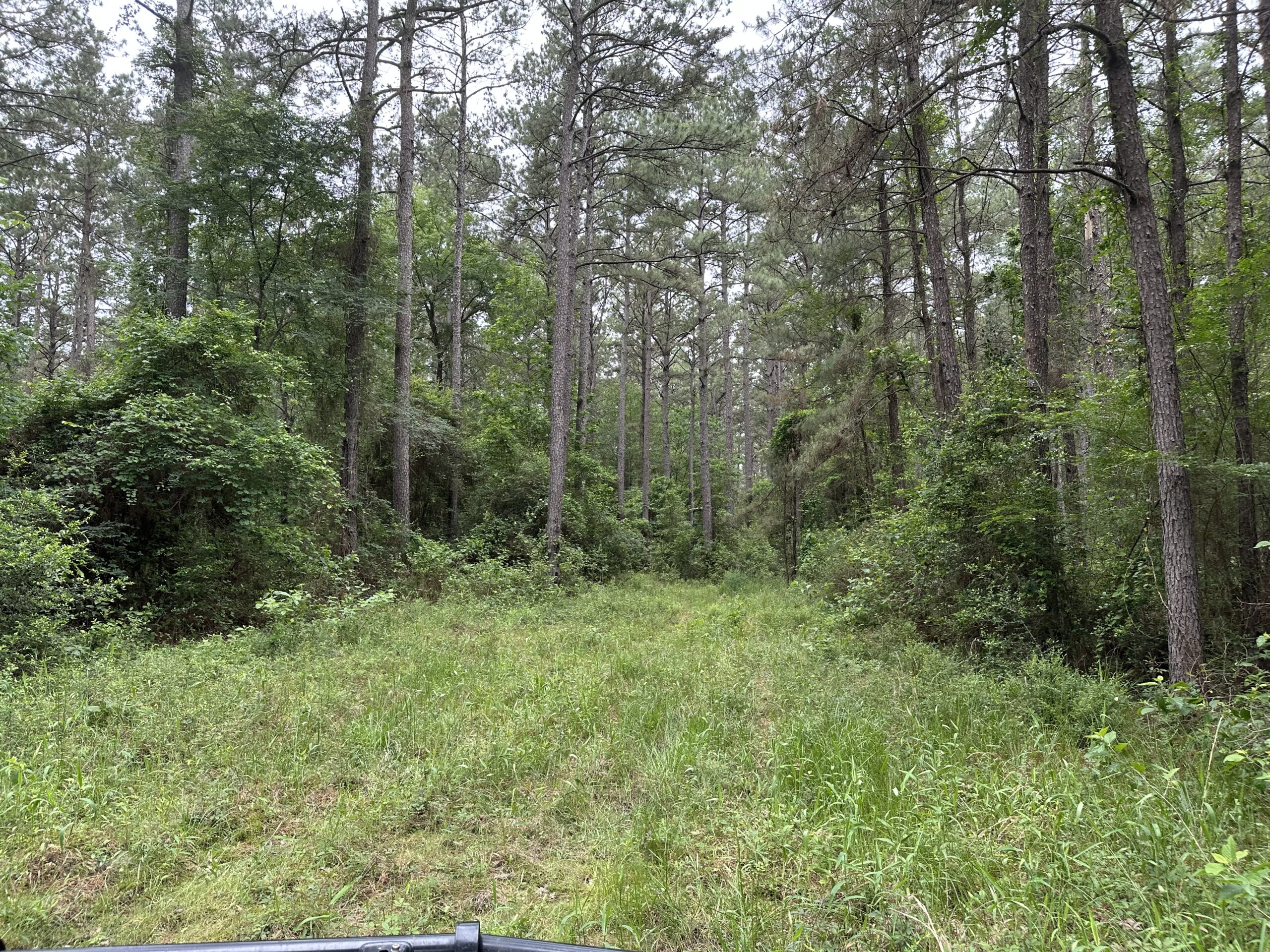 East Texas Recreational/Hunting/Timber Land For Sale