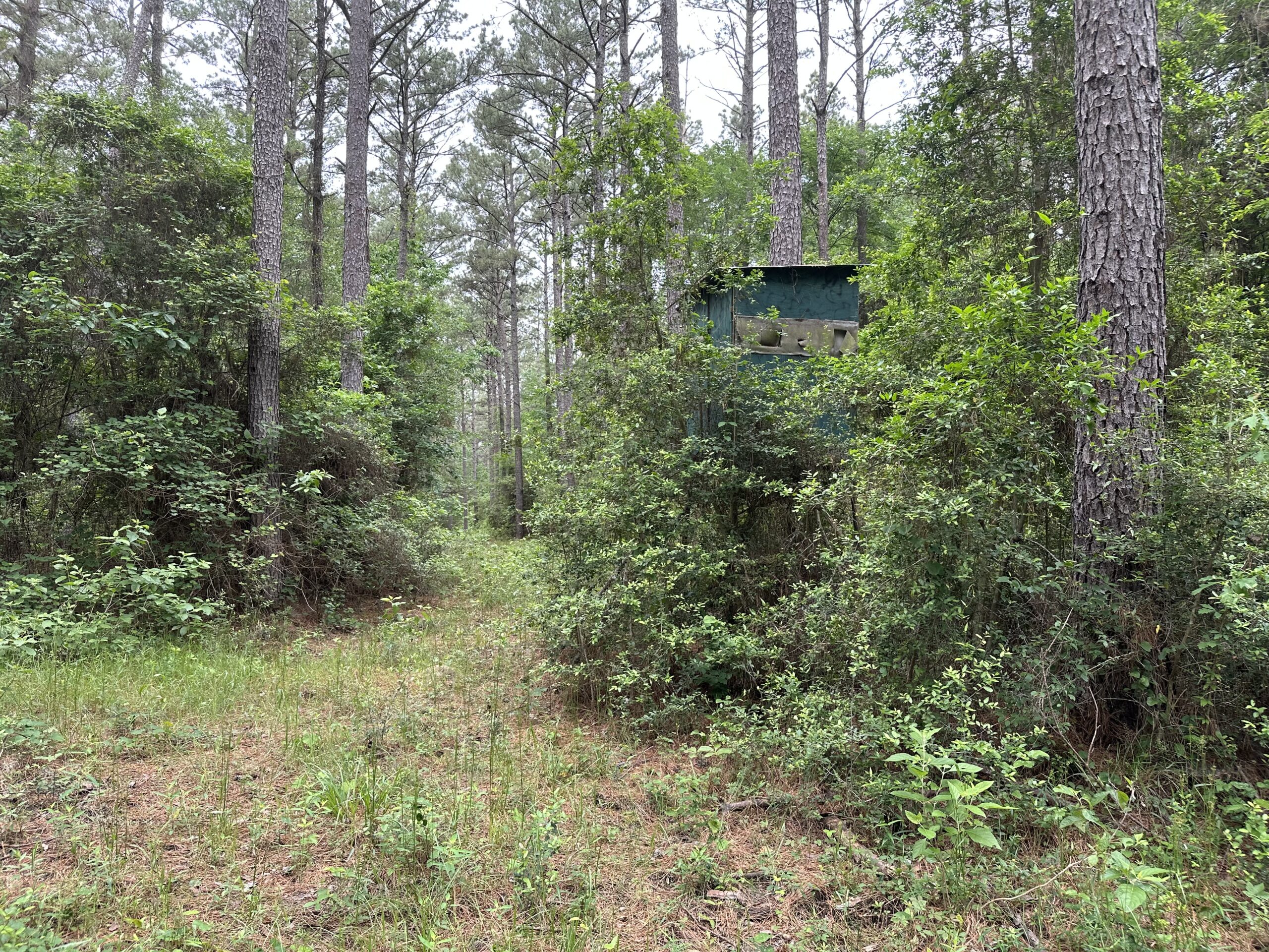 East Texas Recreational/Hunting/Timber Land For Sale