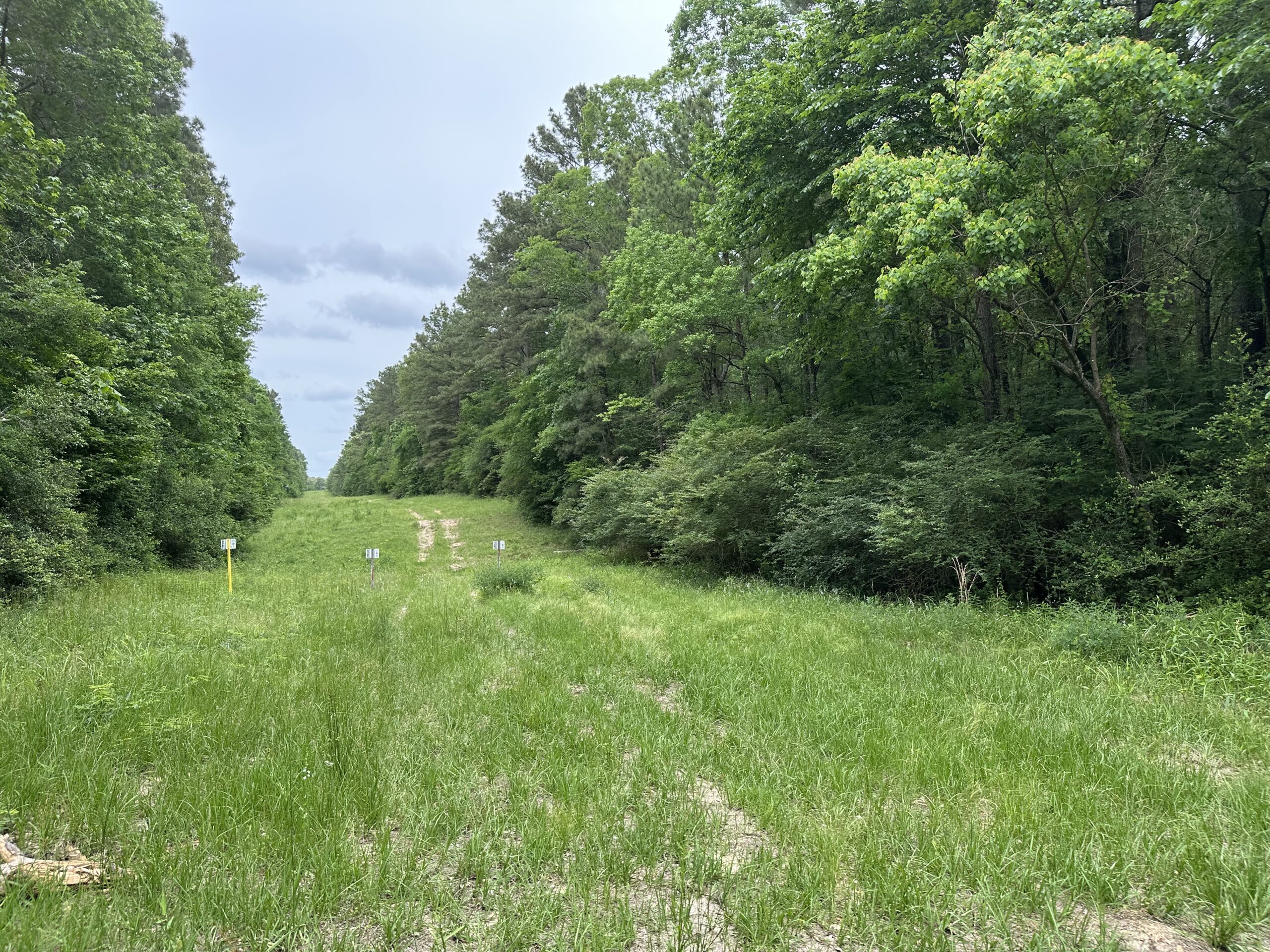 East Texas Recreational/Hunting/Timber Land For Sale
