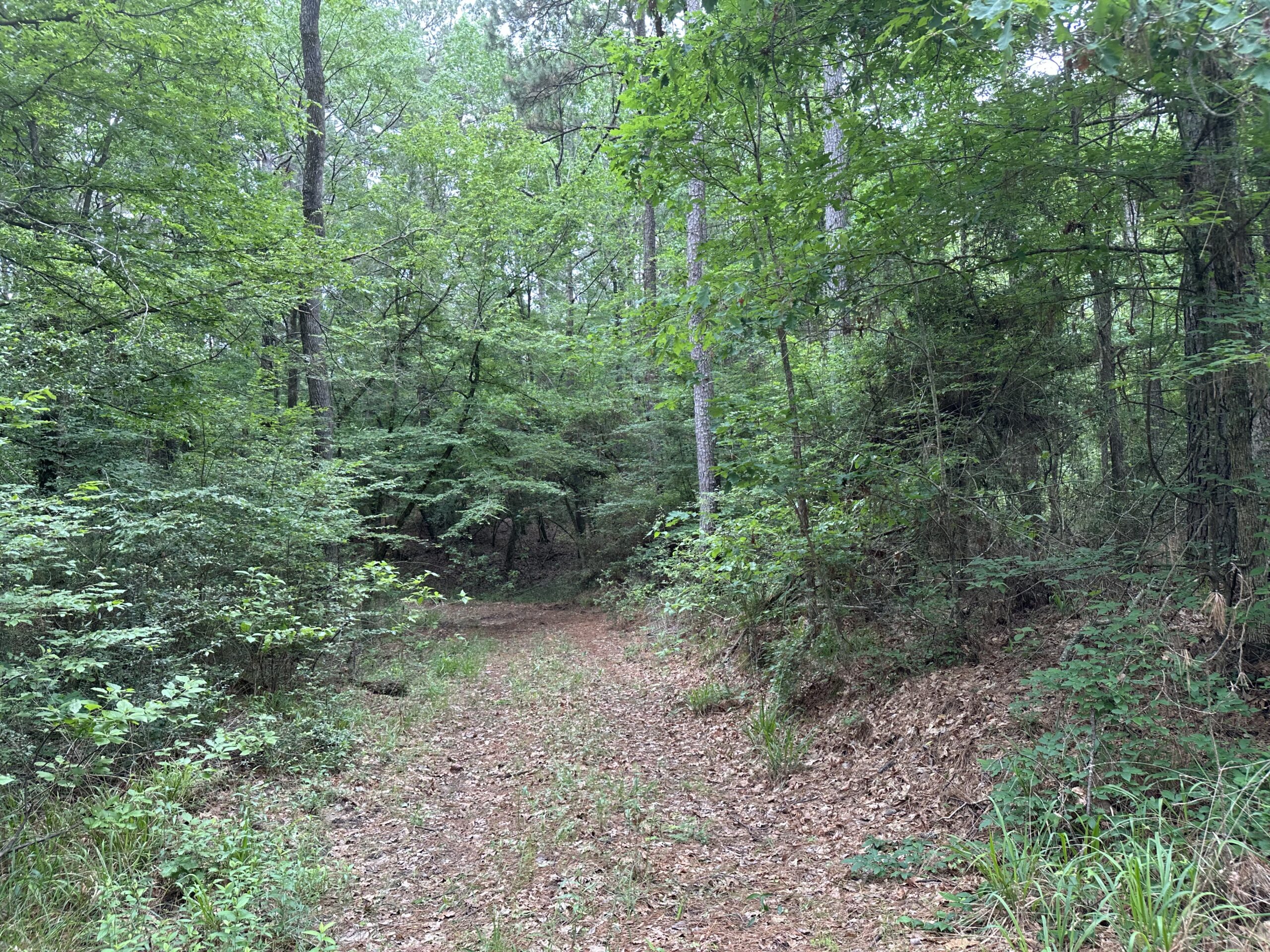 East Texas Recreational/Hunting/Timber Land For Sale