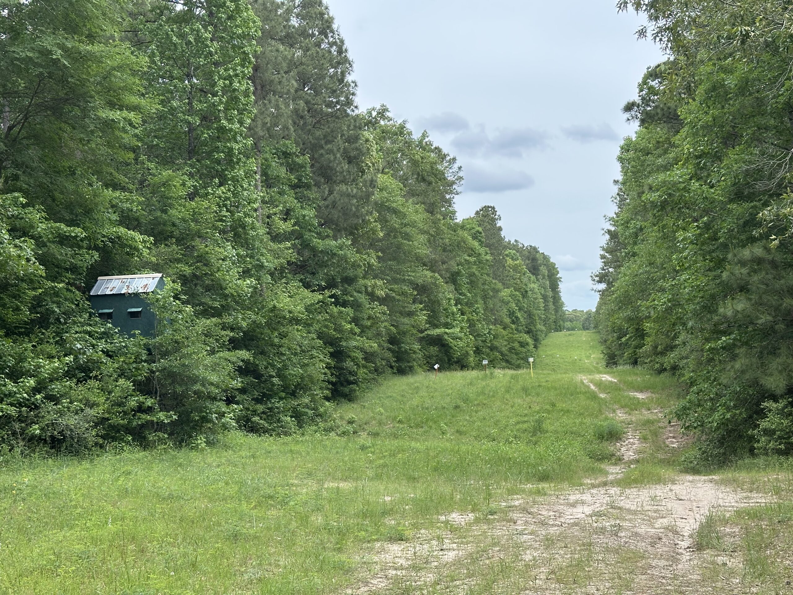 East Texas Recreational/Hunting/Timber Land For Sale