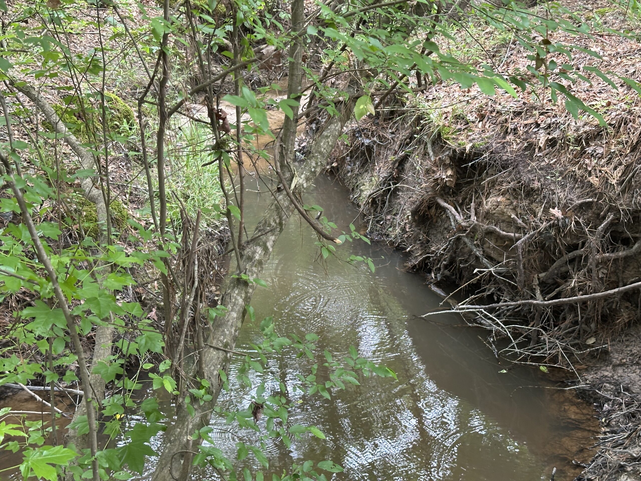 East Texas Recreational/Hunting/Timber Land For Sale
