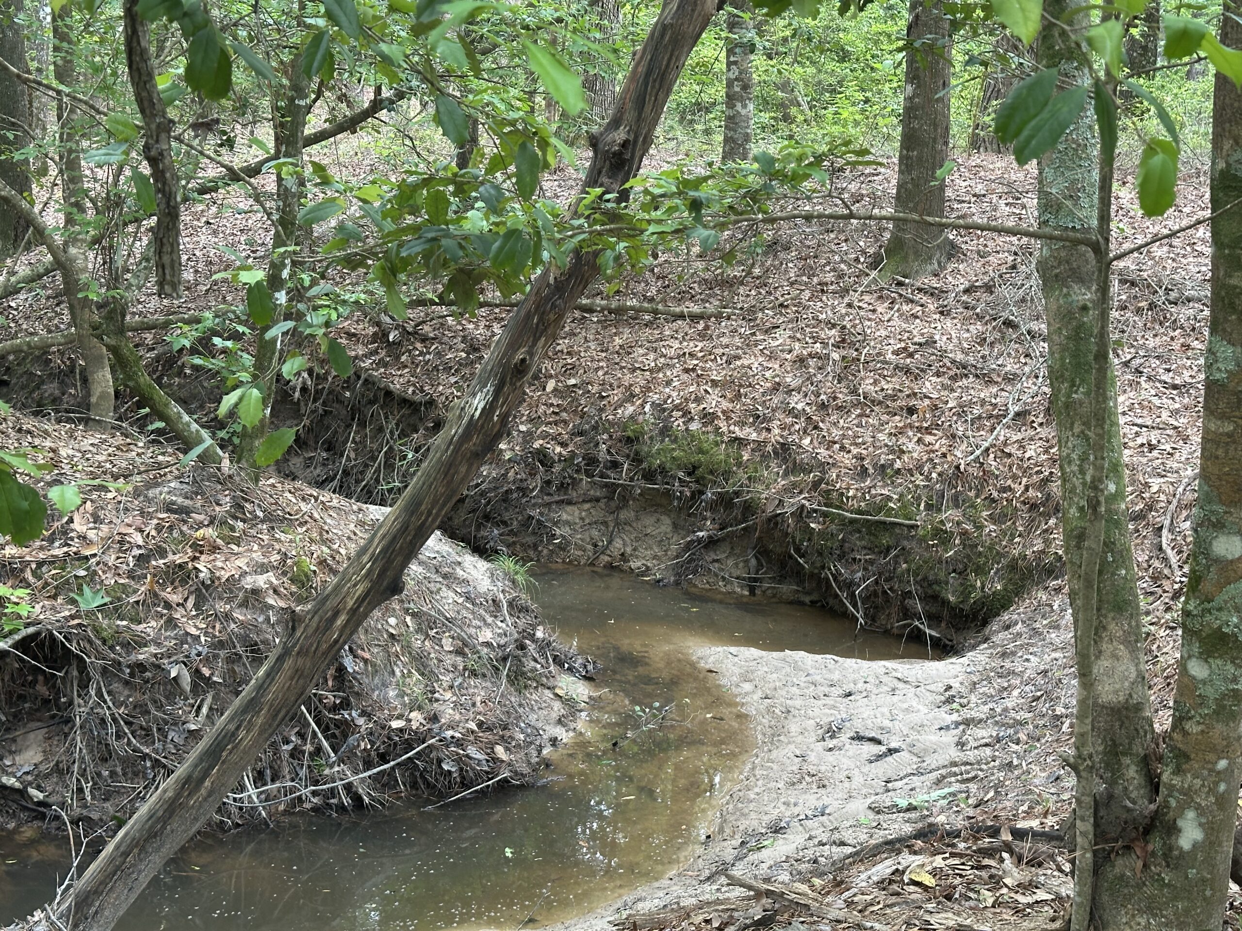 East Texas Recreational/Hunting/Timber Land For Sale