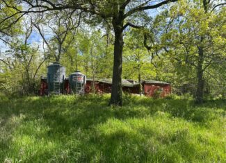Charming Agricultural Haven in North West Schuyler County, MO