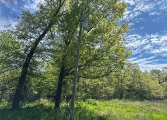 Charming Agricultural Haven in North West Schuyler County, MO