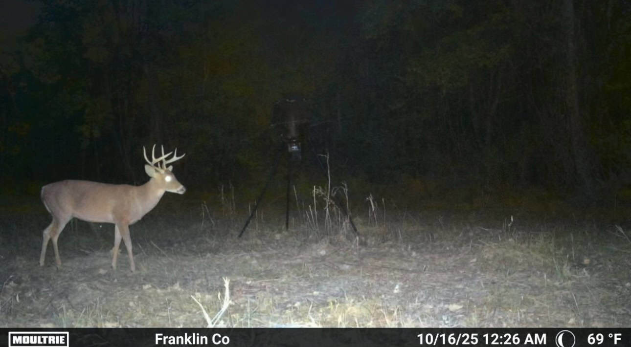 Secluded Land for Sale in Roxie – MS Hamburg Community Lot