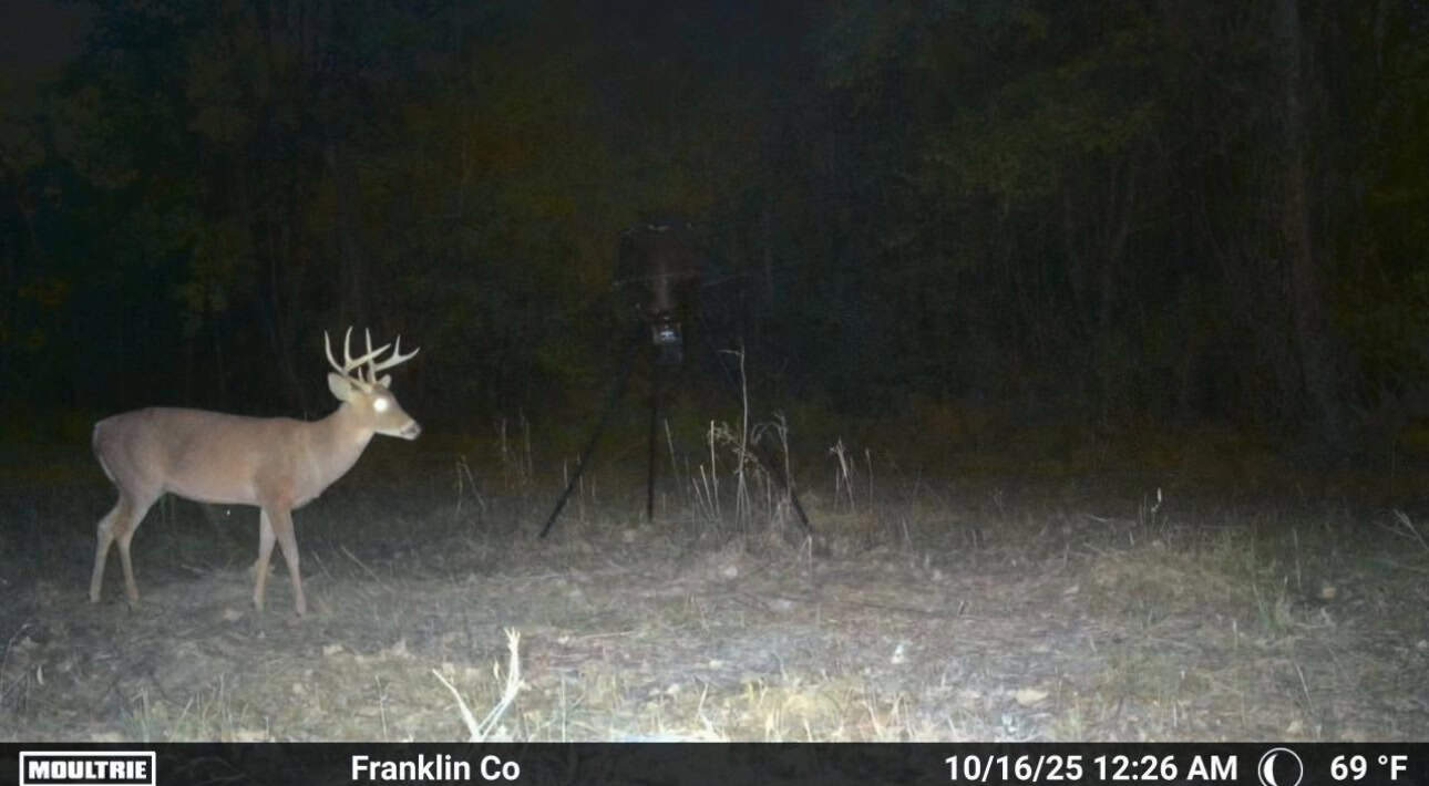 51 Acres of Hunting Land for Sale in Roxie, Mississippi