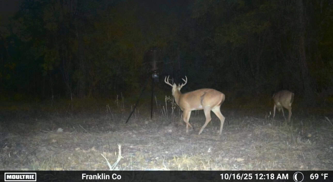 Hamburg 41: Hunting Land for Sale in Roxie, Mississippi