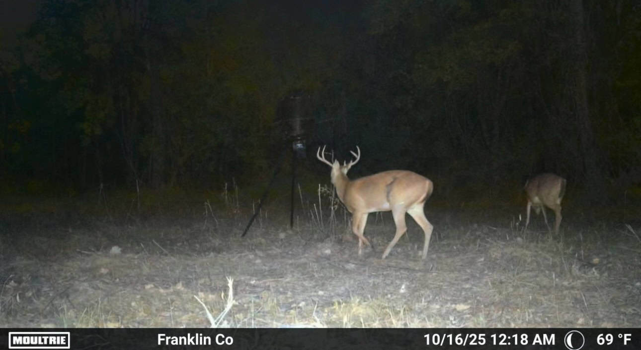 Secluded Land for Sale in Roxie – MS Hamburg Community Lot