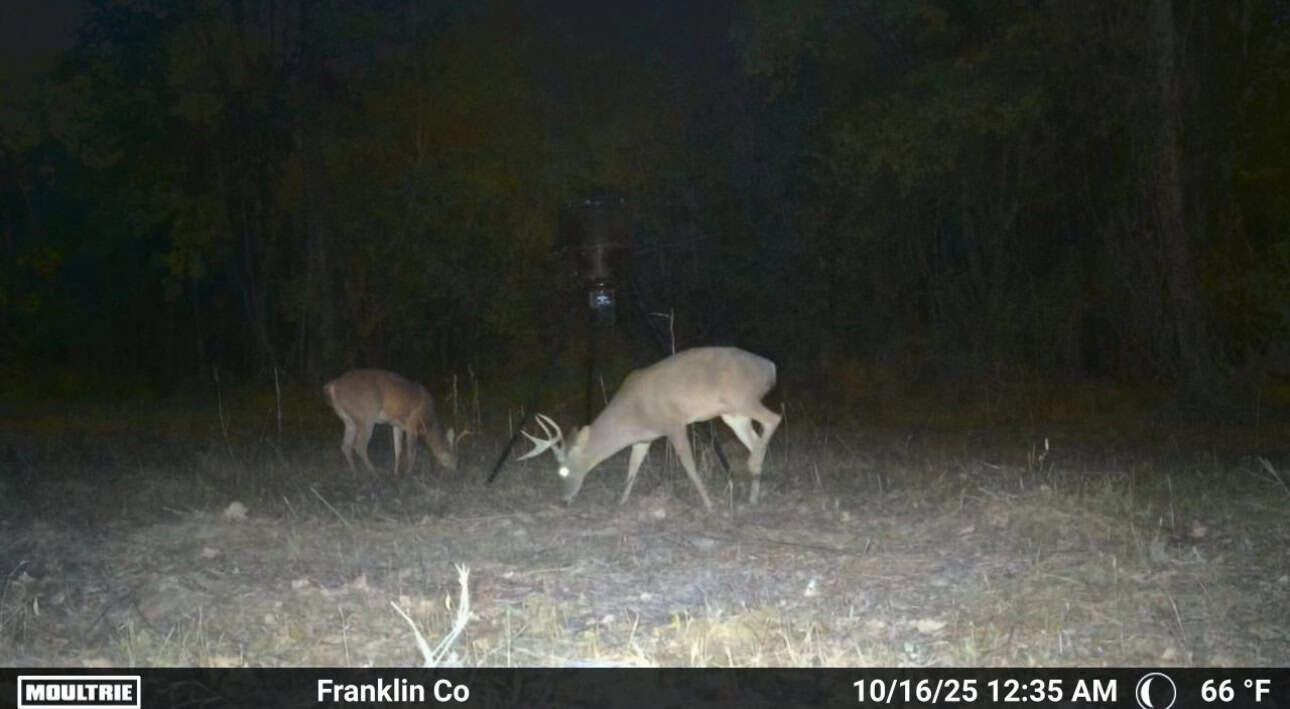 51 Acres of Hunting Land for Sale in Roxie, Mississippi