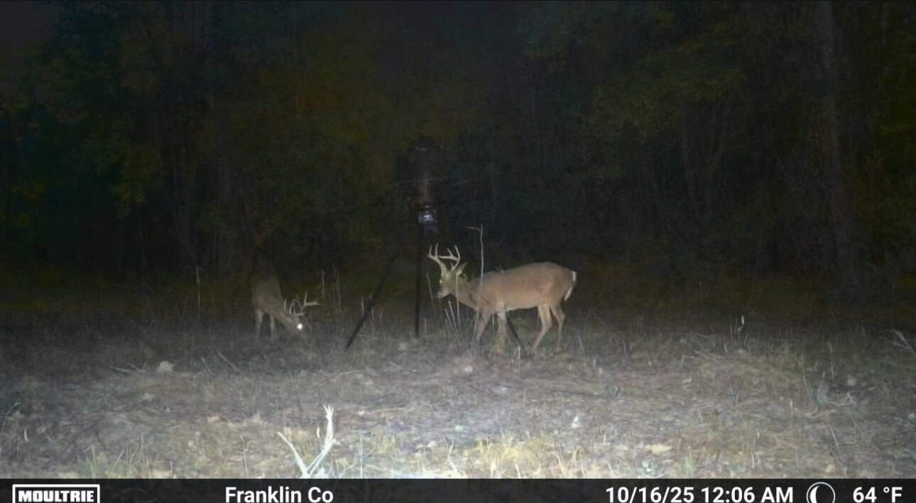 Secluded Land for Sale in Roxie – MS Hamburg Community Lot