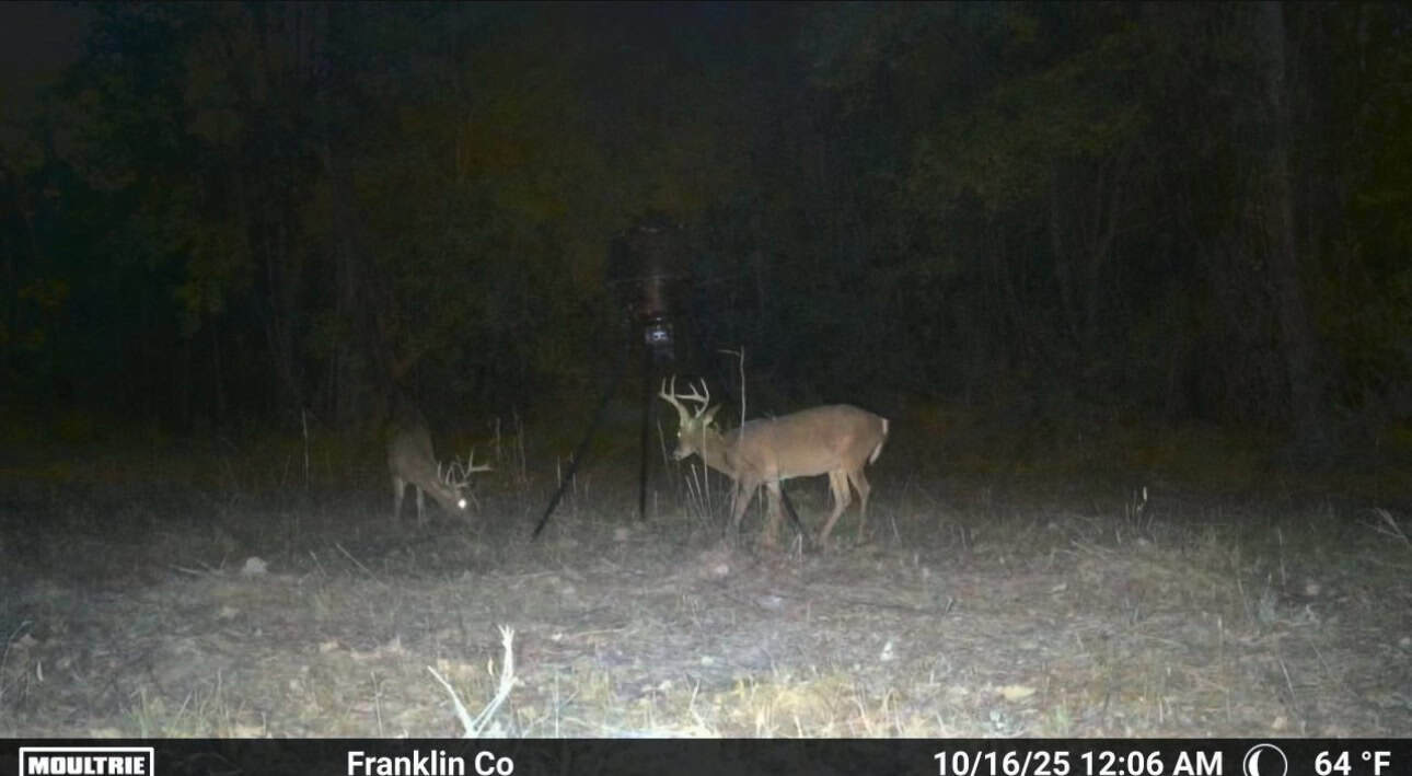 51 Acres of Hunting Land for Sale in Roxie, Mississippi