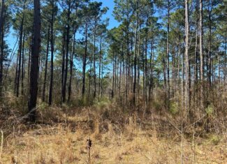 42.24 ac TBD CR 1456