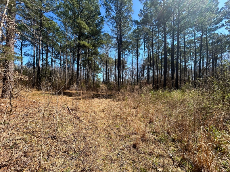 42.24 ac TBD CR 1456