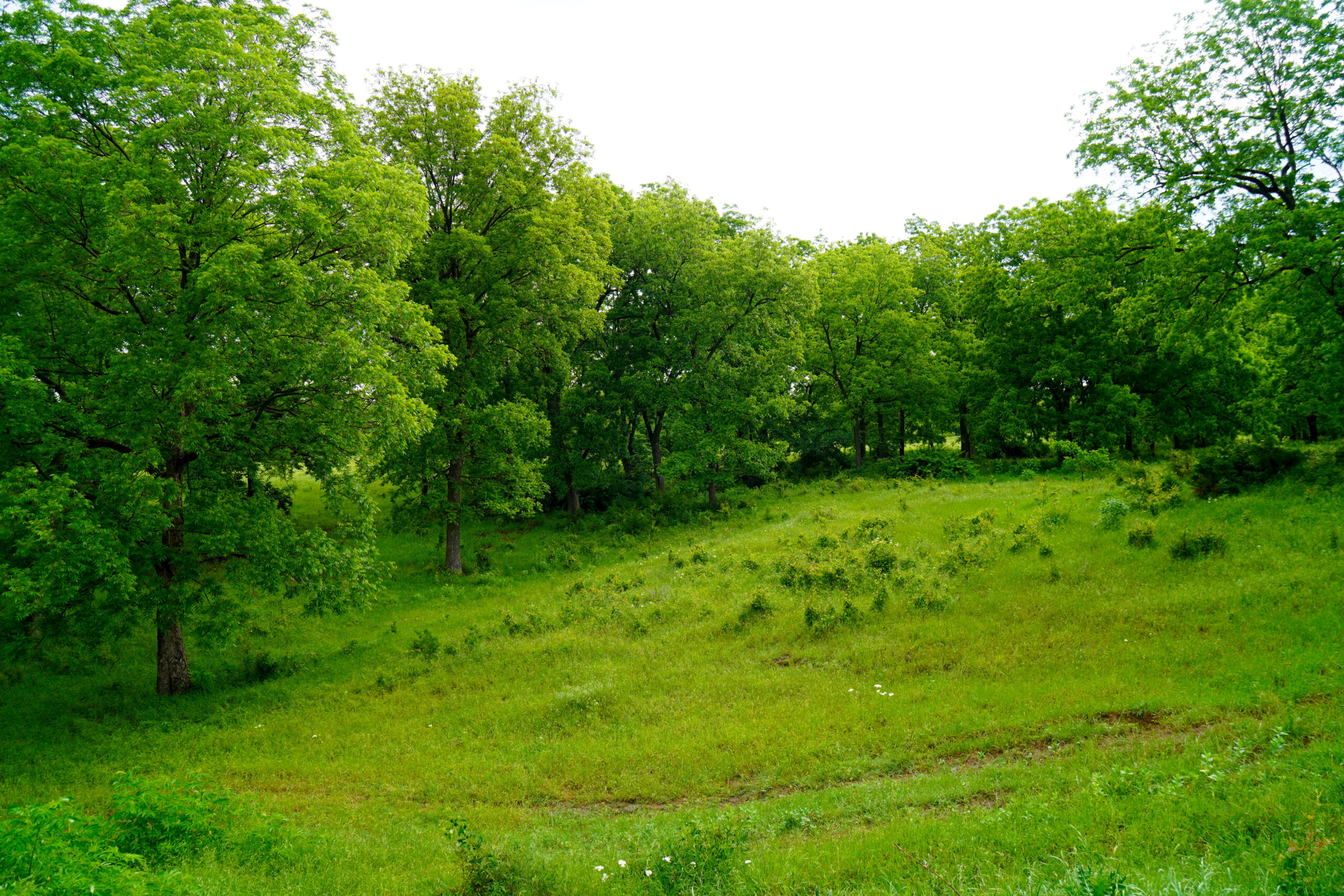 Central Oklahoma Ranch For Sale, Lincoln County