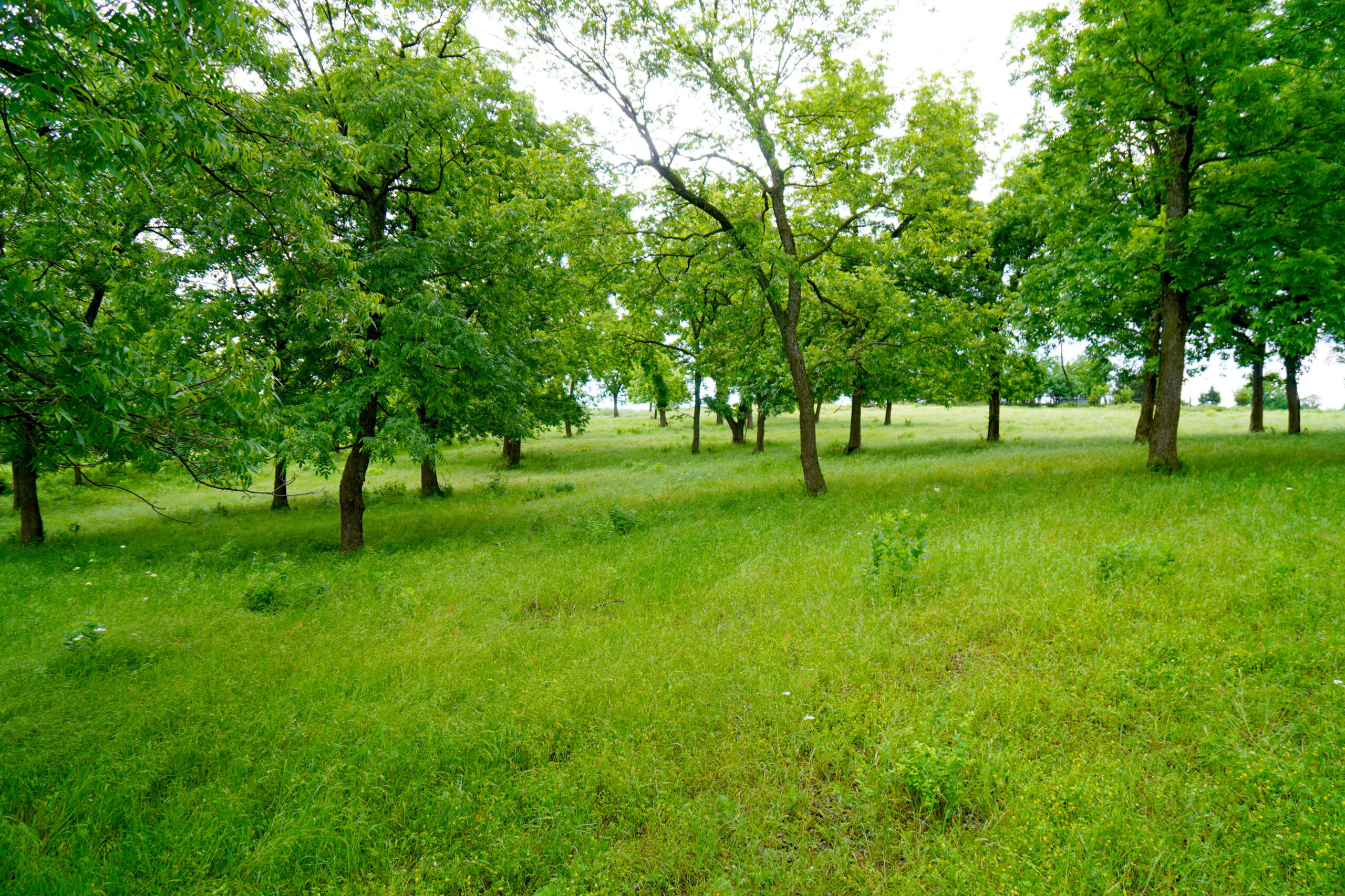 Central Oklahoma Ranch For Sale, Lincoln County