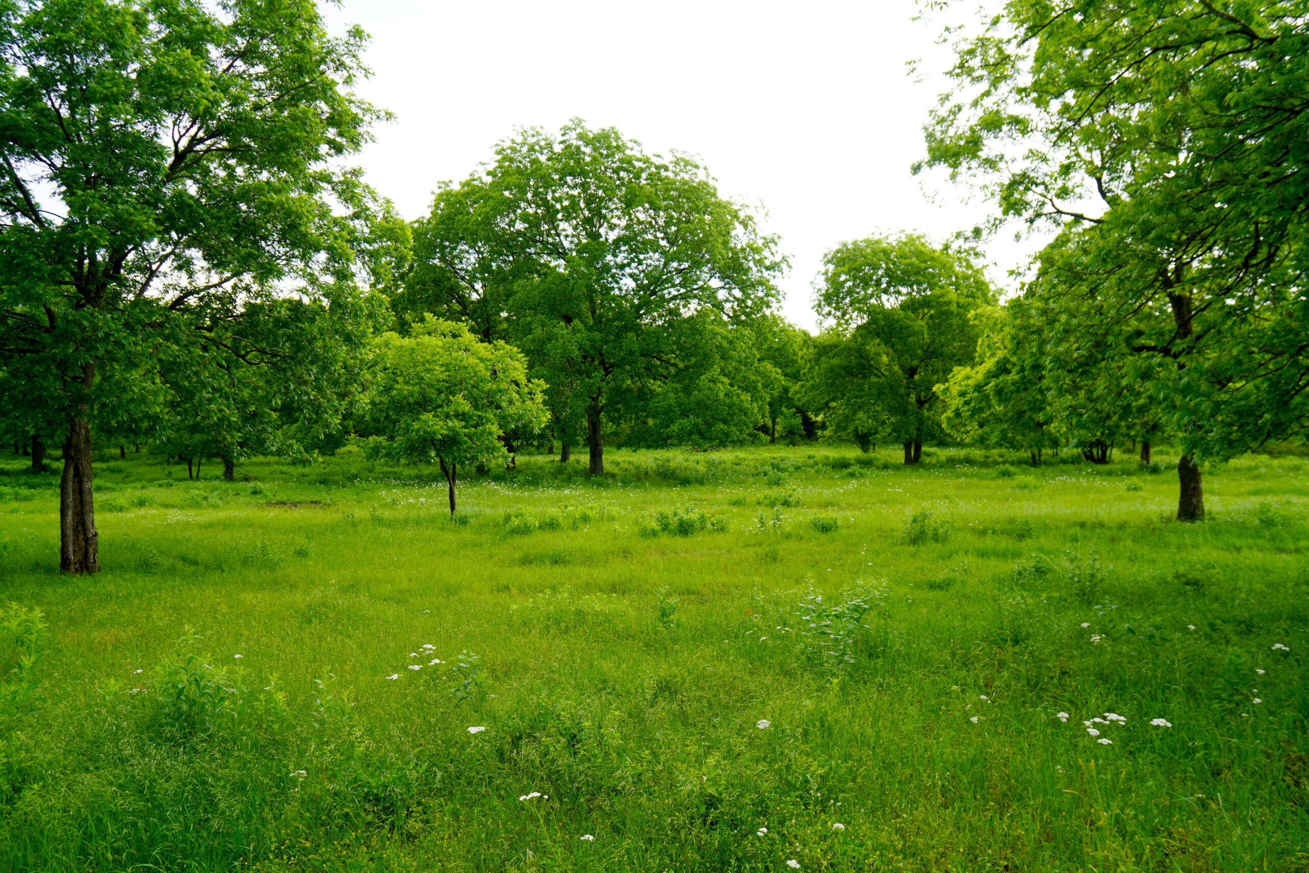Central Oklahoma Ranch For Sale, Lincoln County