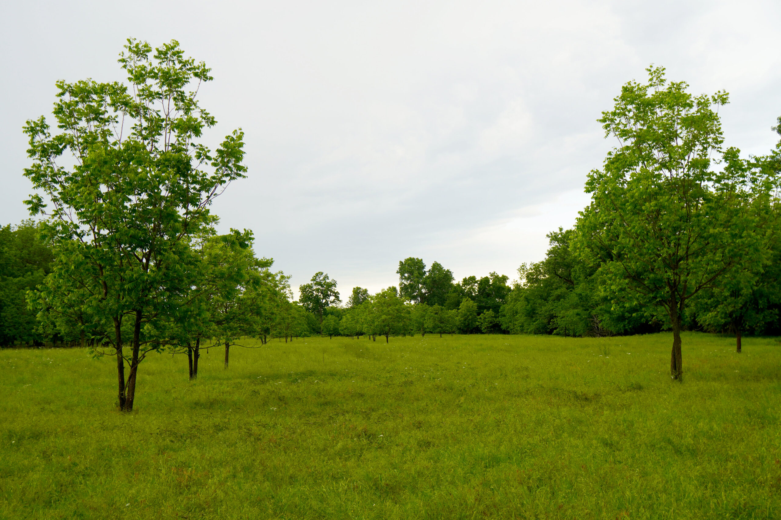 Central Oklahoma Ranch For Sale, Lincoln County