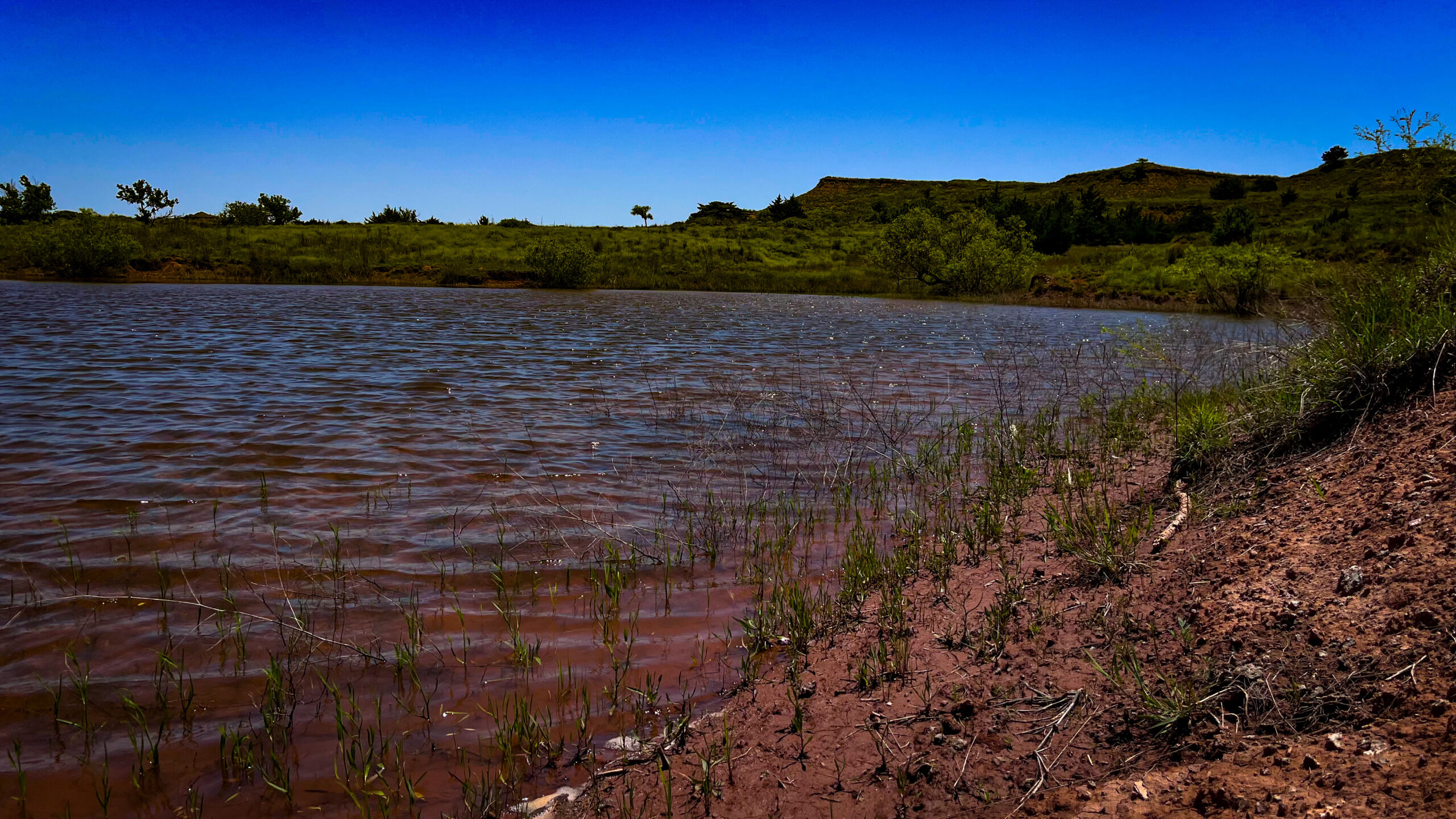 315± Acres | Barber County, KS | Trophy Whitetail Hunting | Red Hills Views