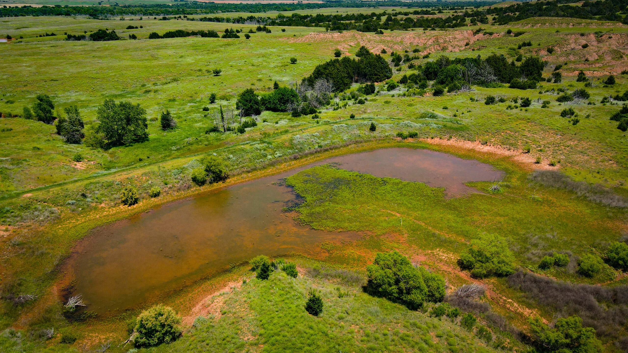 315± Acres | Barber County, KS | Trophy Whitetail Hunting | Red Hills Views